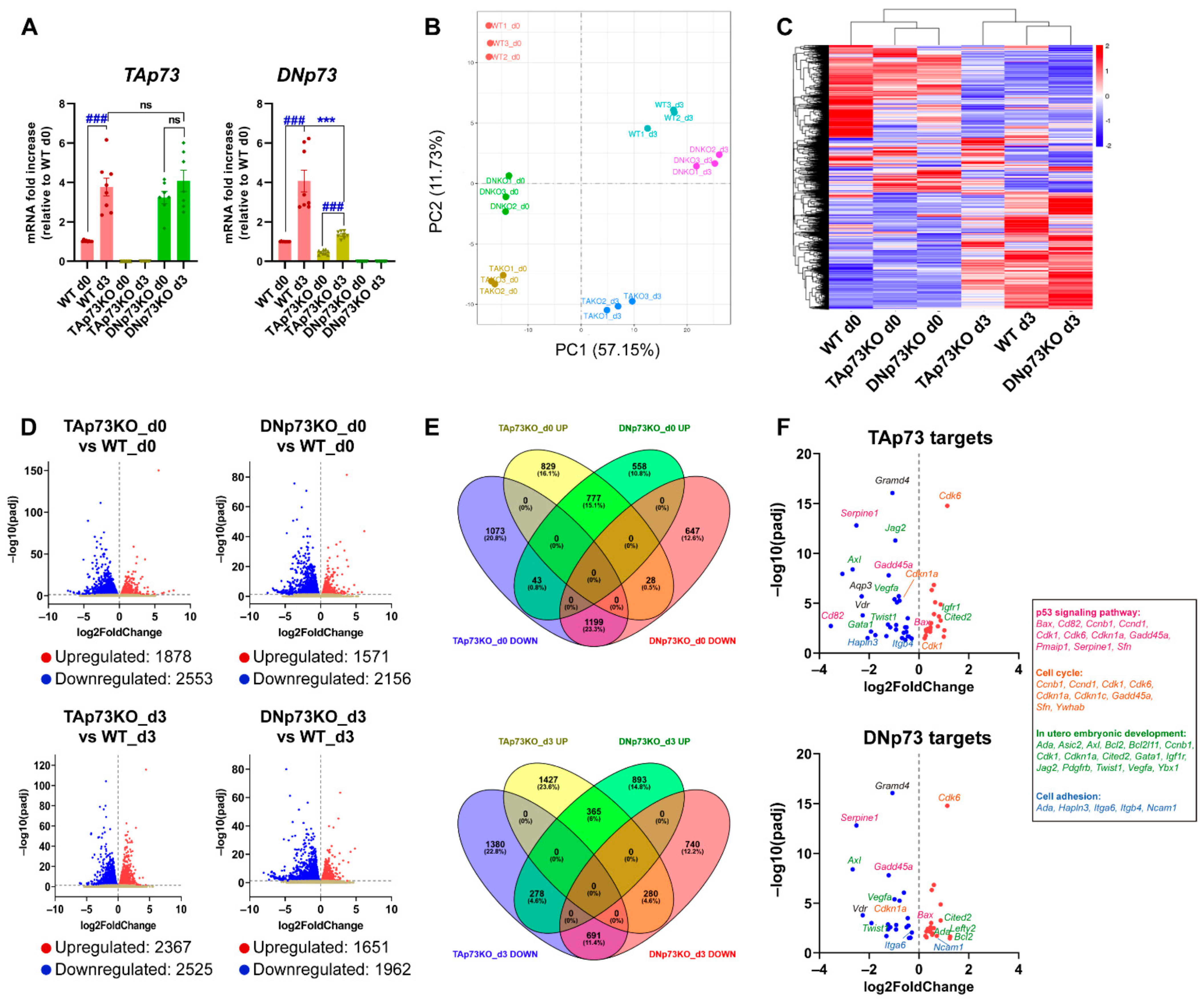 Cancers 13 03182 g003