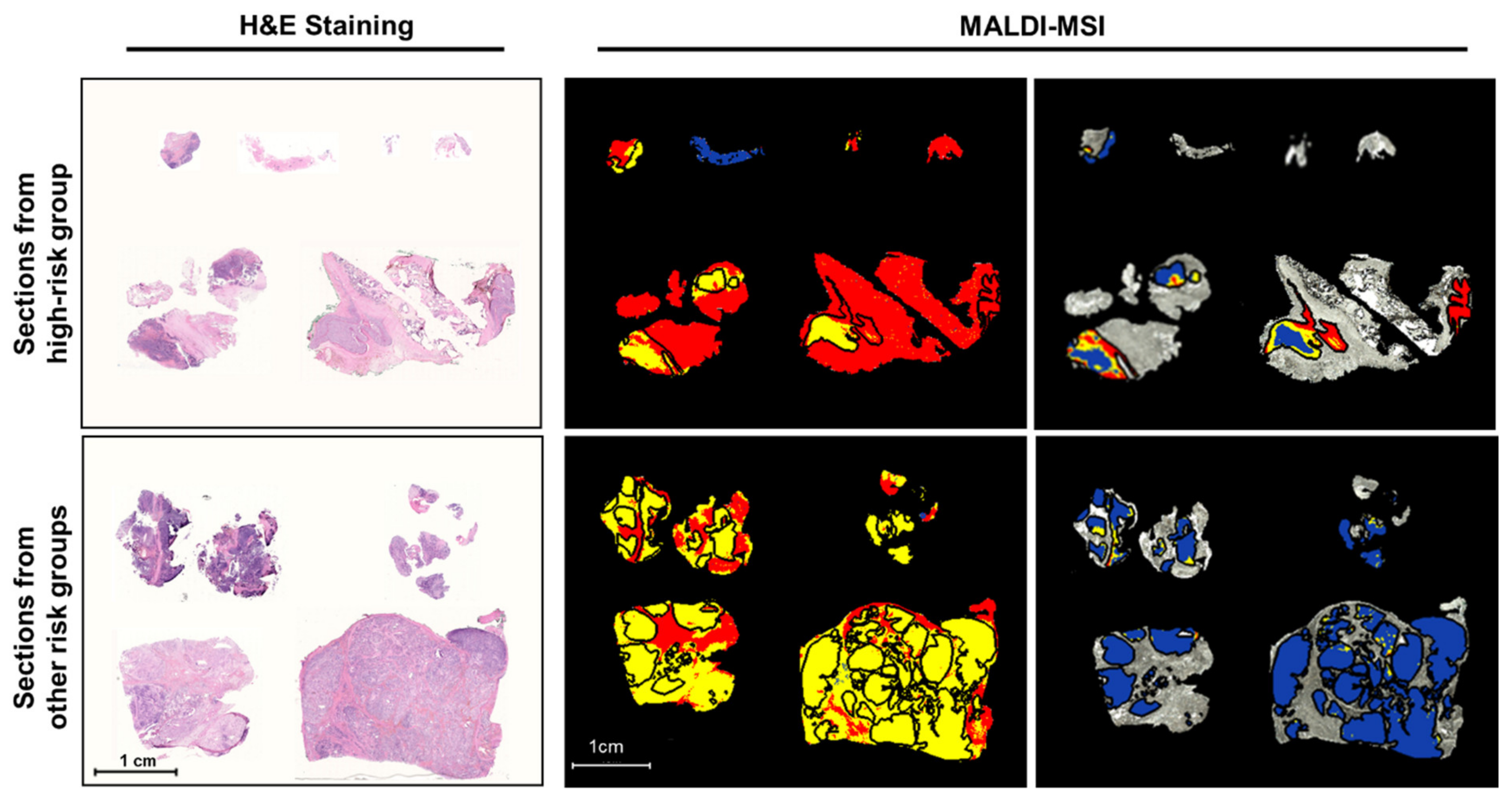 Cancers 13 03184 g001