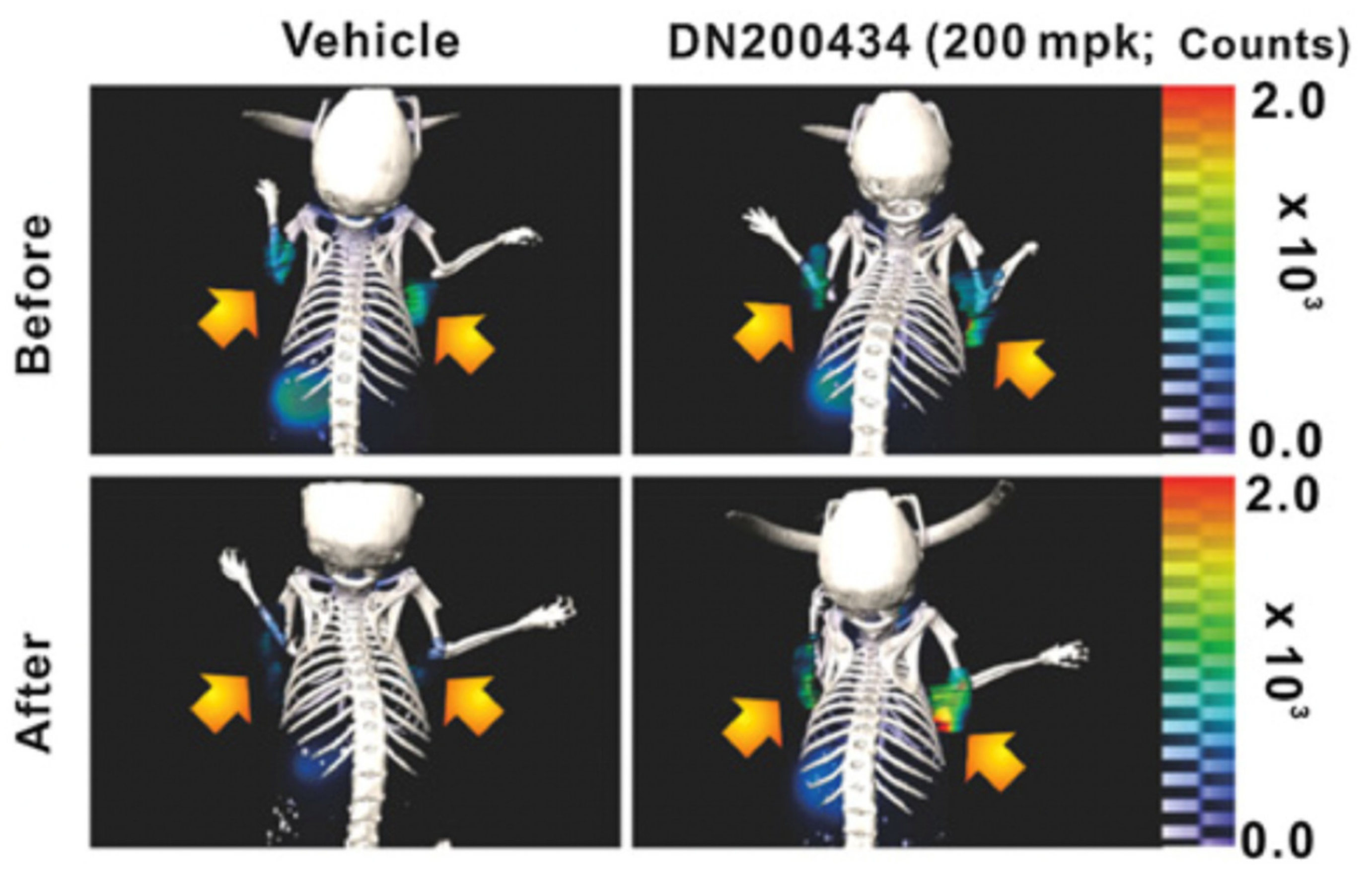 Cancers 13 03188 g002 Cancers 13 03188 g002
