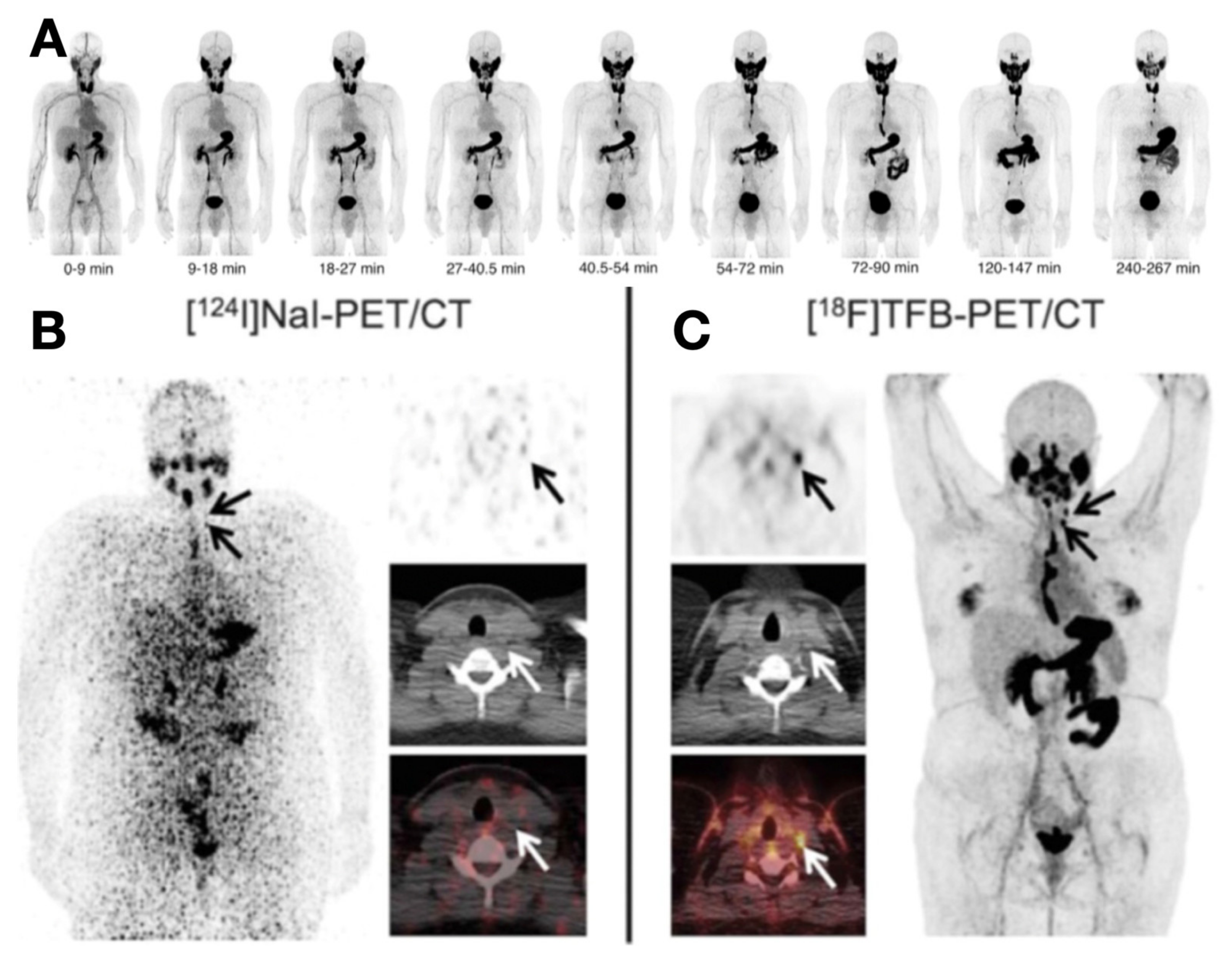 Cancers 13 03188 g003 Cancers 13 03188 g003