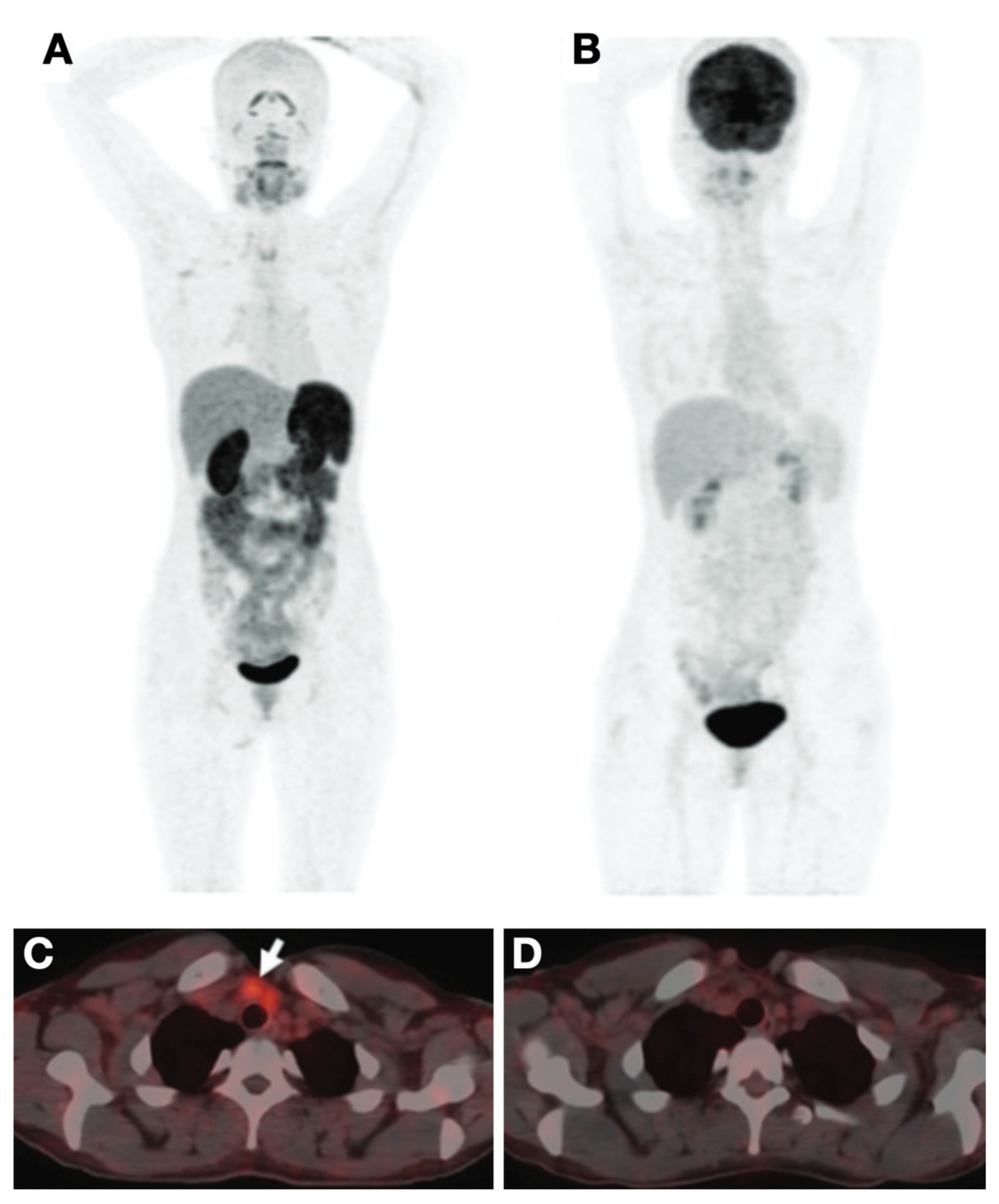 Cancers 13 03188 g005 Cancers 13 03188 g005