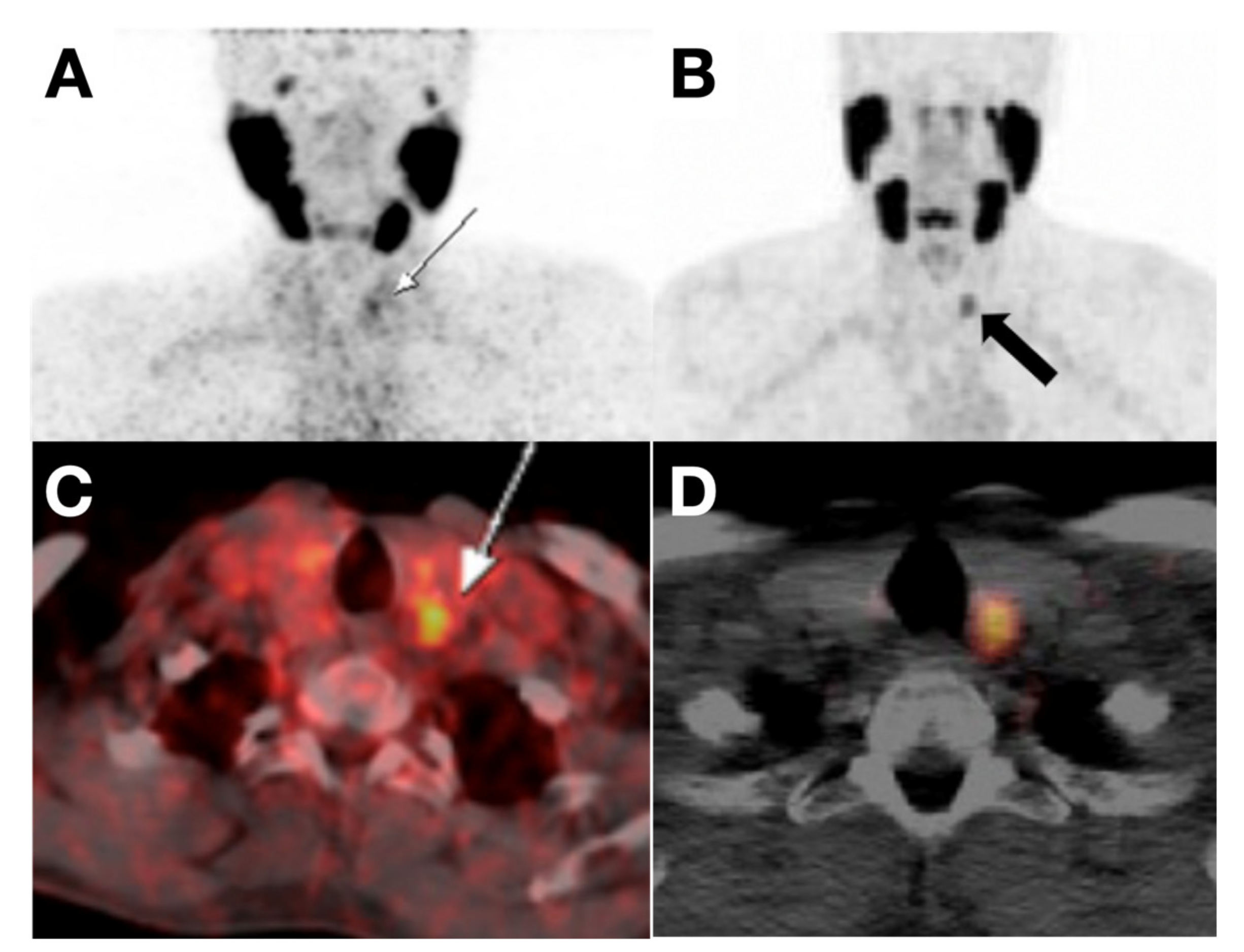 Cancers 13 03188 g006 Cancers 13 03188 g006