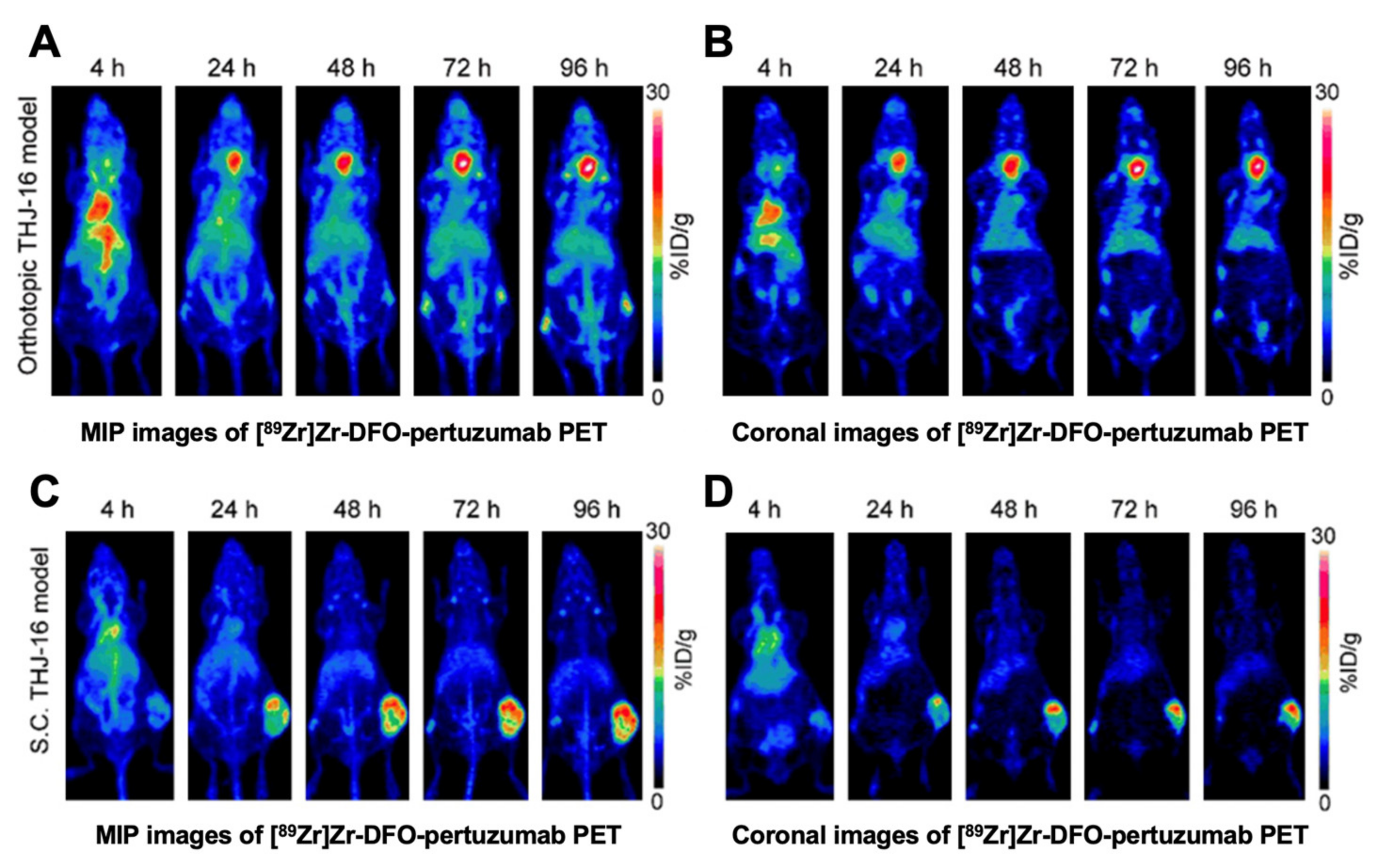 Cancers 13 03188 g008 Cancers 13 03188 g008