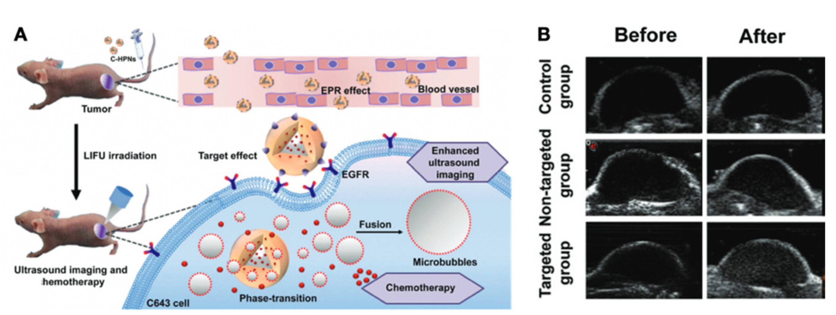 Cancers 13 03188 g015 Cancers 13 03188 g015