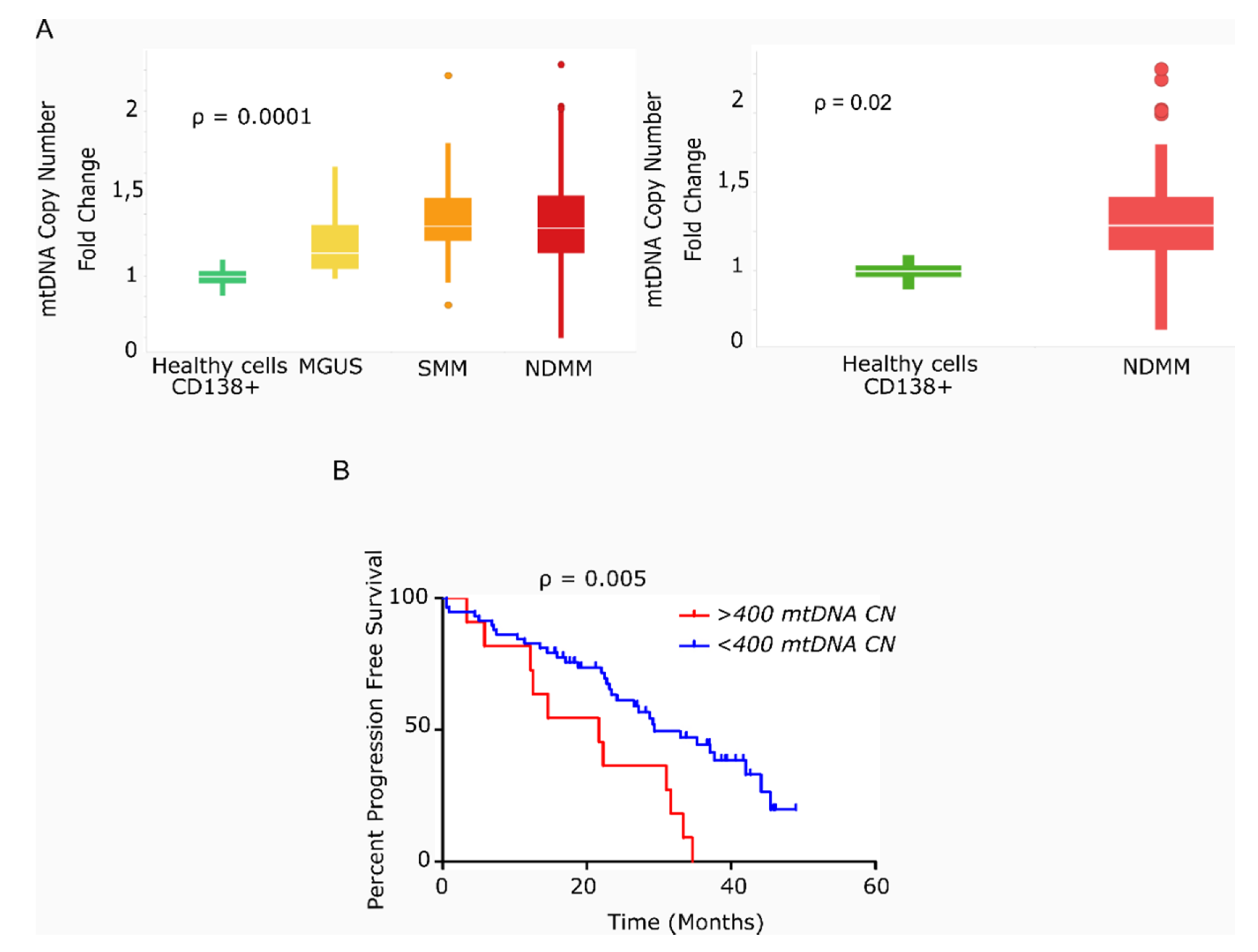 Cancers 13 03189 g001