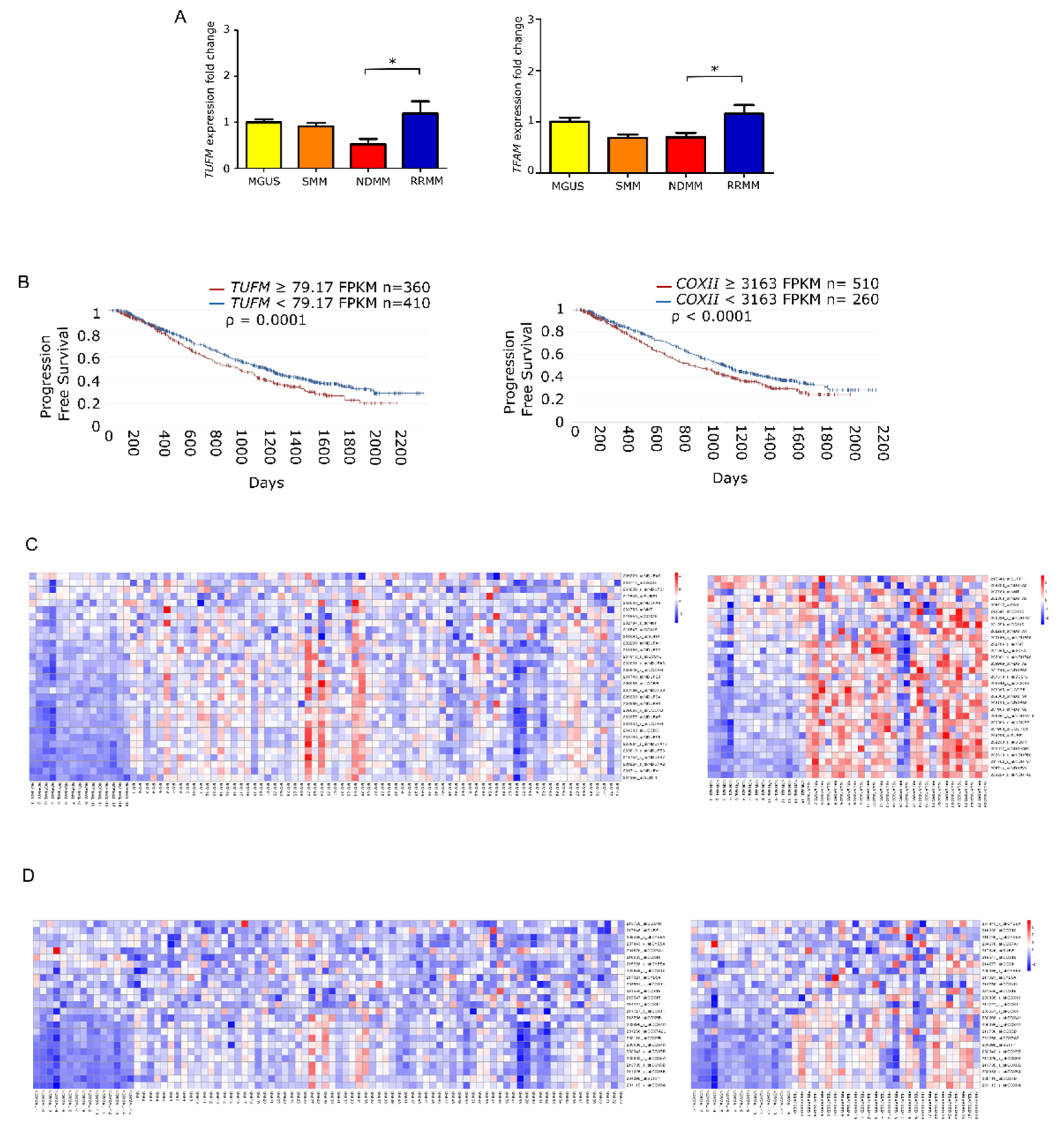 Cancers 13 03189 g003