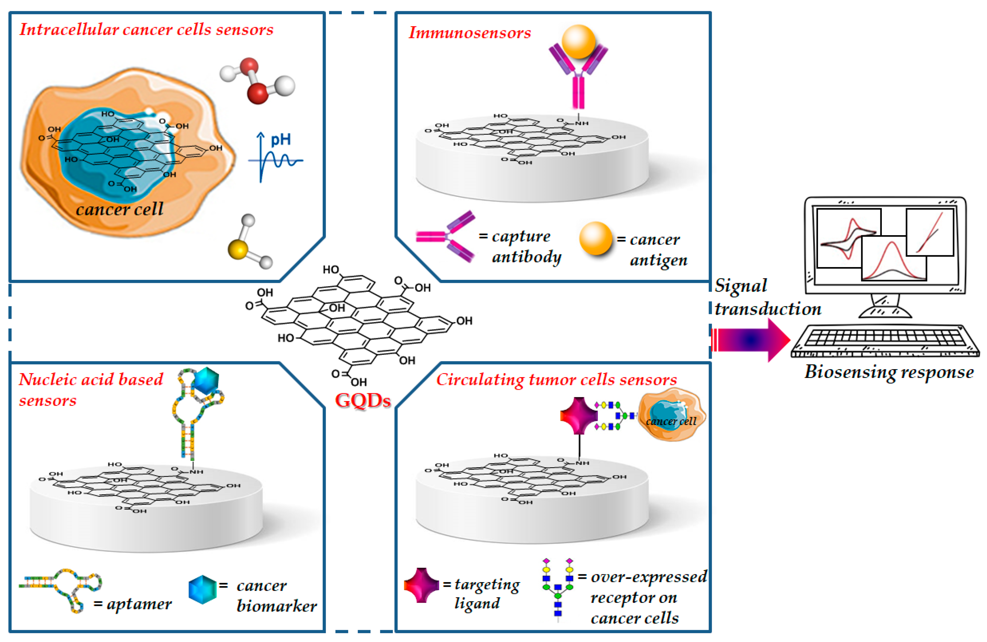Cancers 13 03194 g001