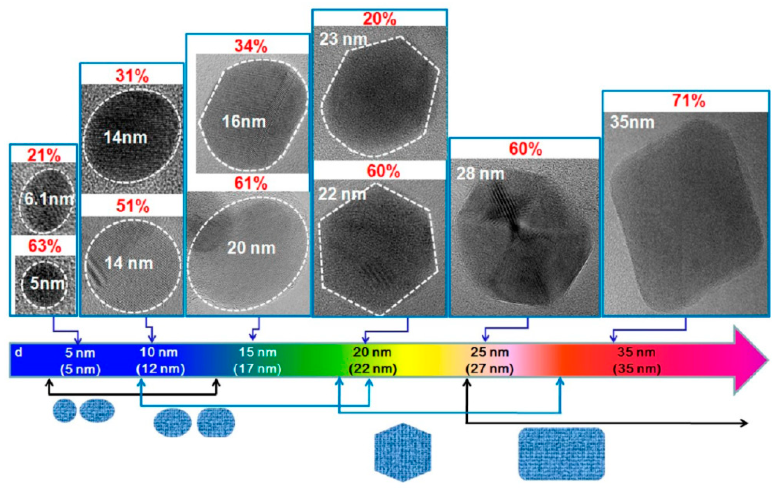 Cancers 13 03194 g002