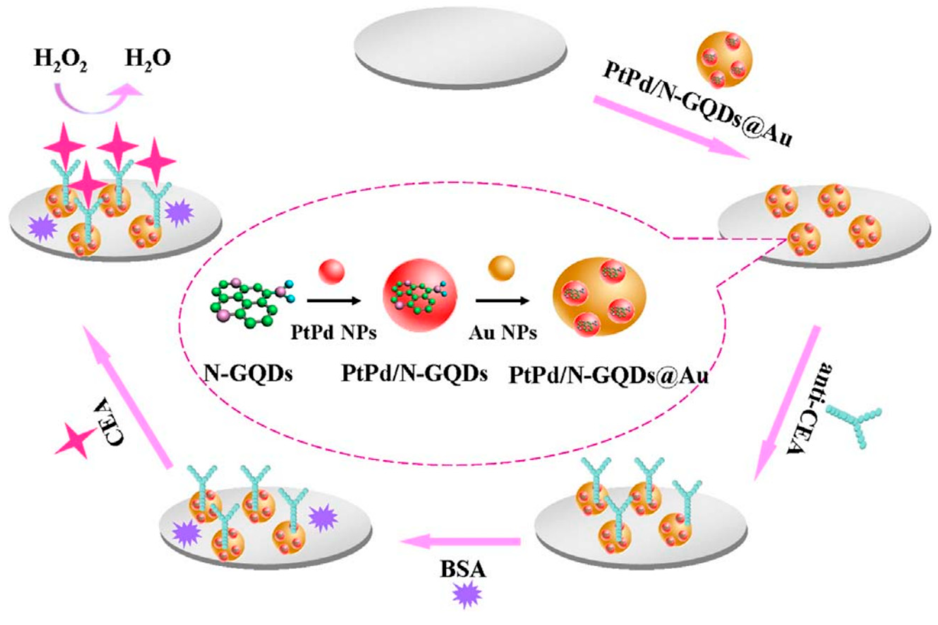 Cancers 13 03194 g003