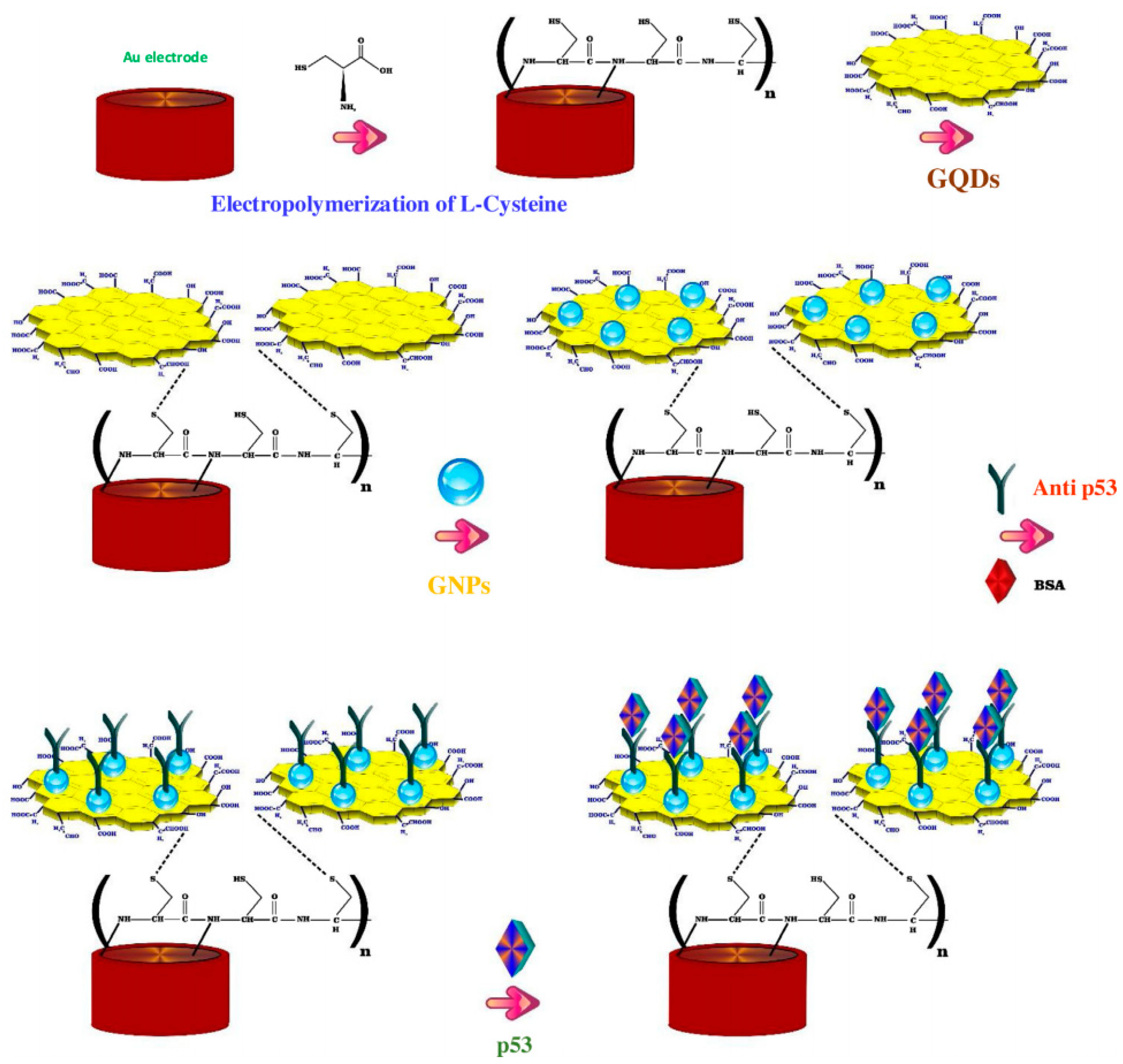 Cancers 13 03194 g005