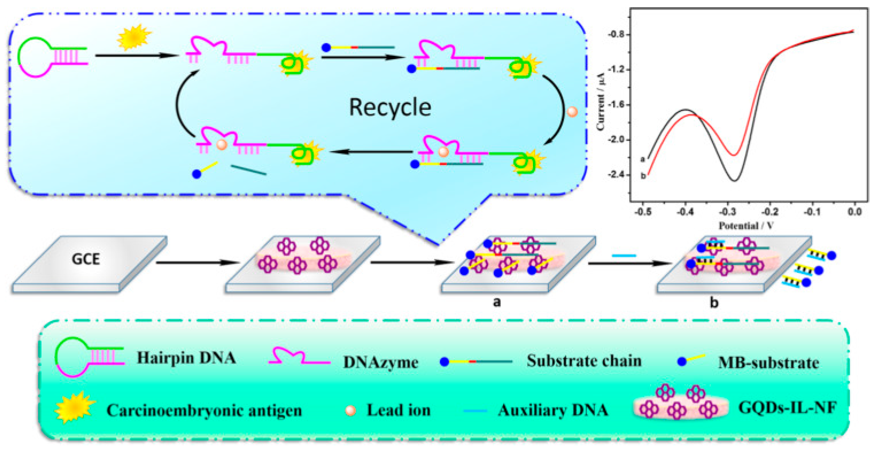 Cancers 13 03194 g006