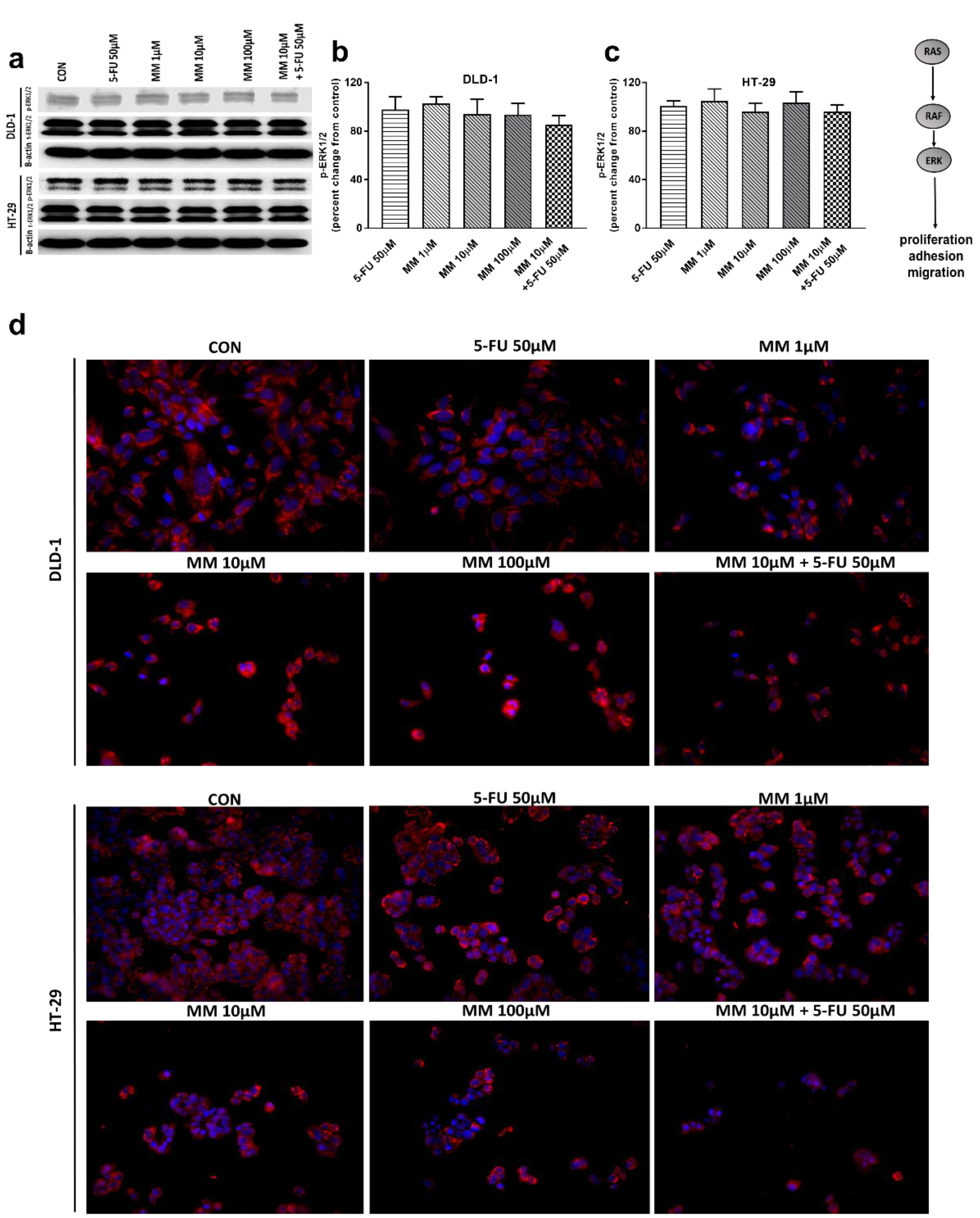 Cancers 13 03203 g005