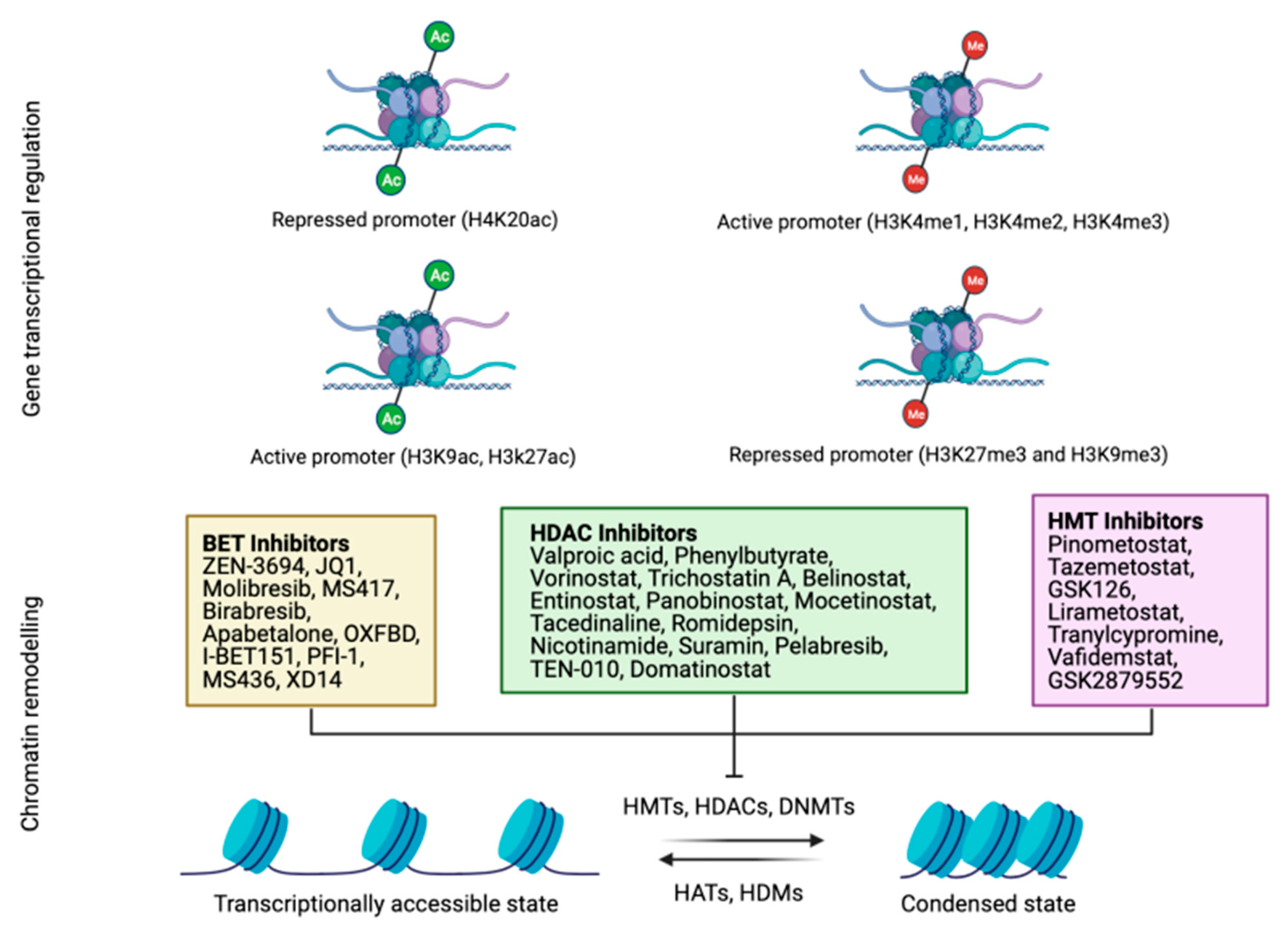 Cancers 13 03209 g002