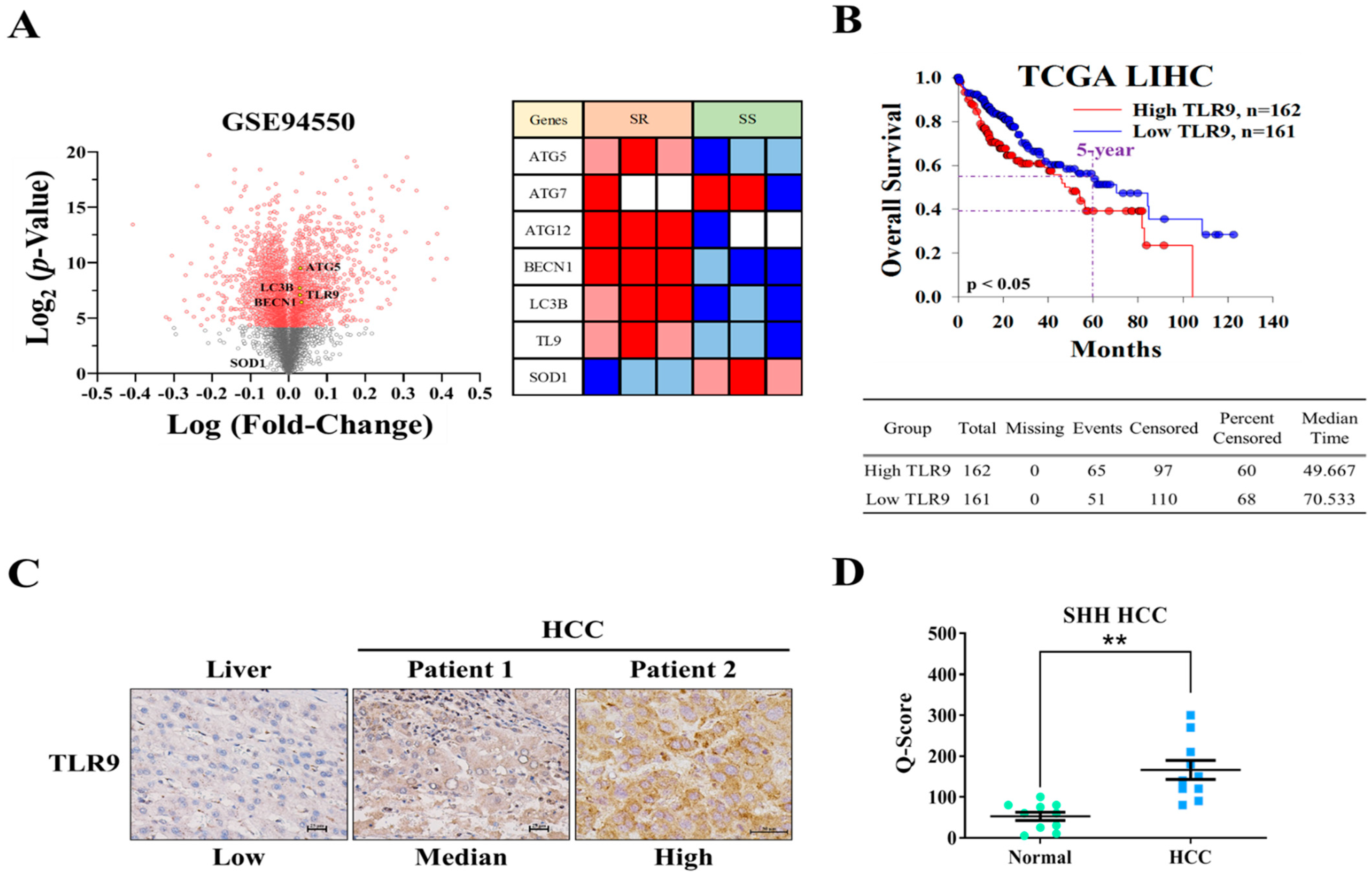 Cancers 13 03227 g001