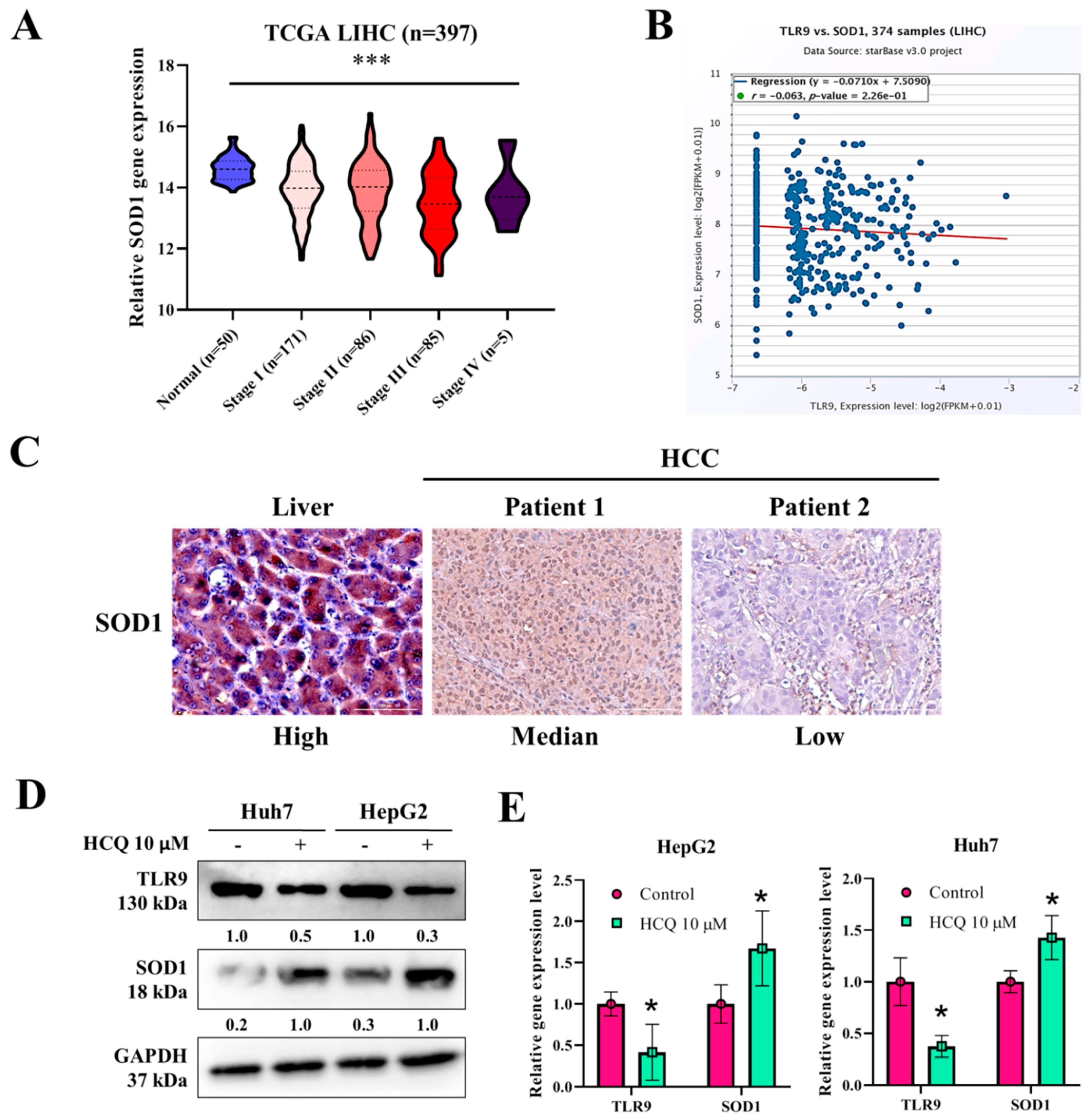 Cancers 13 03227 g005
