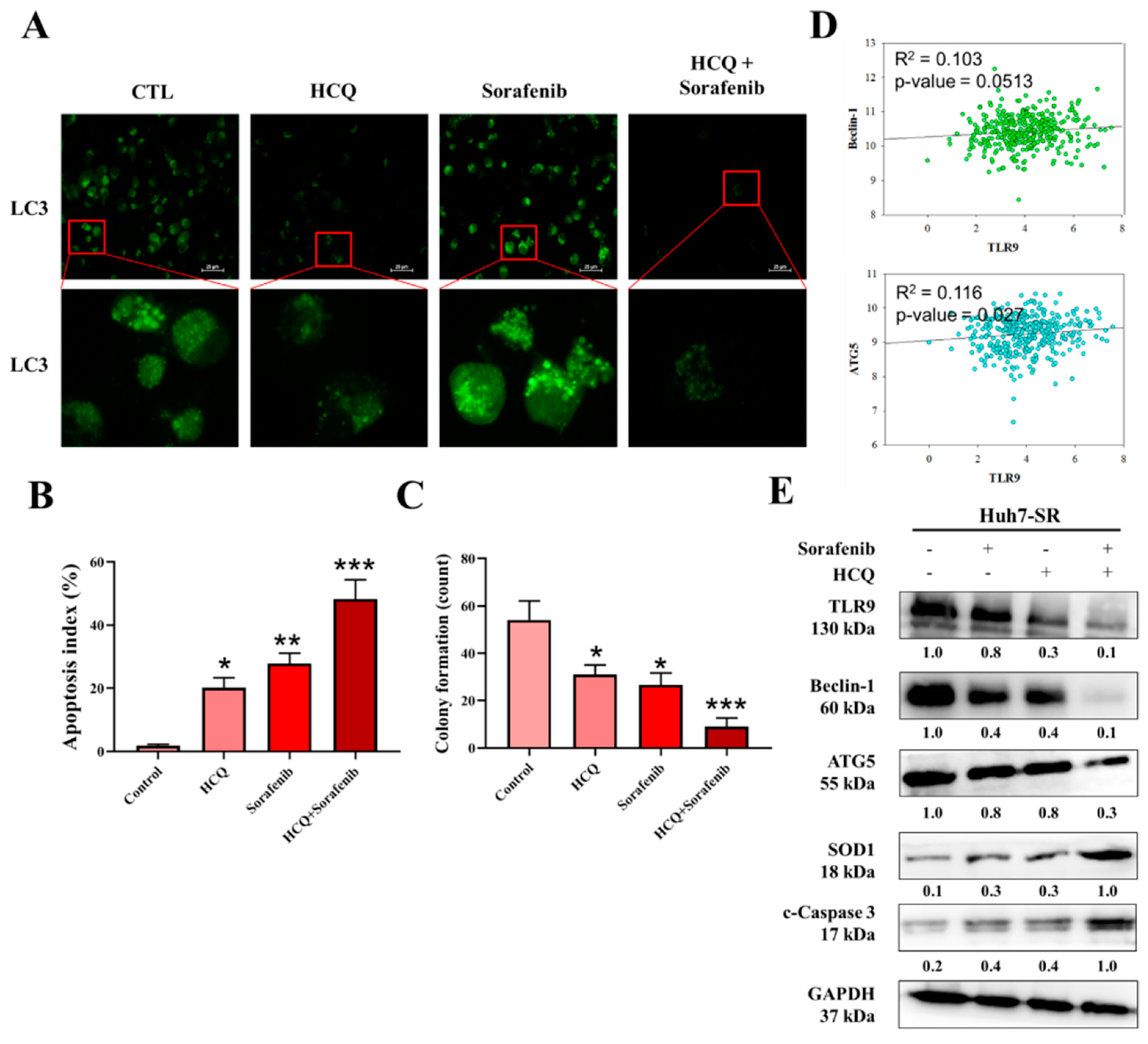 Cancers 13 03227 g007