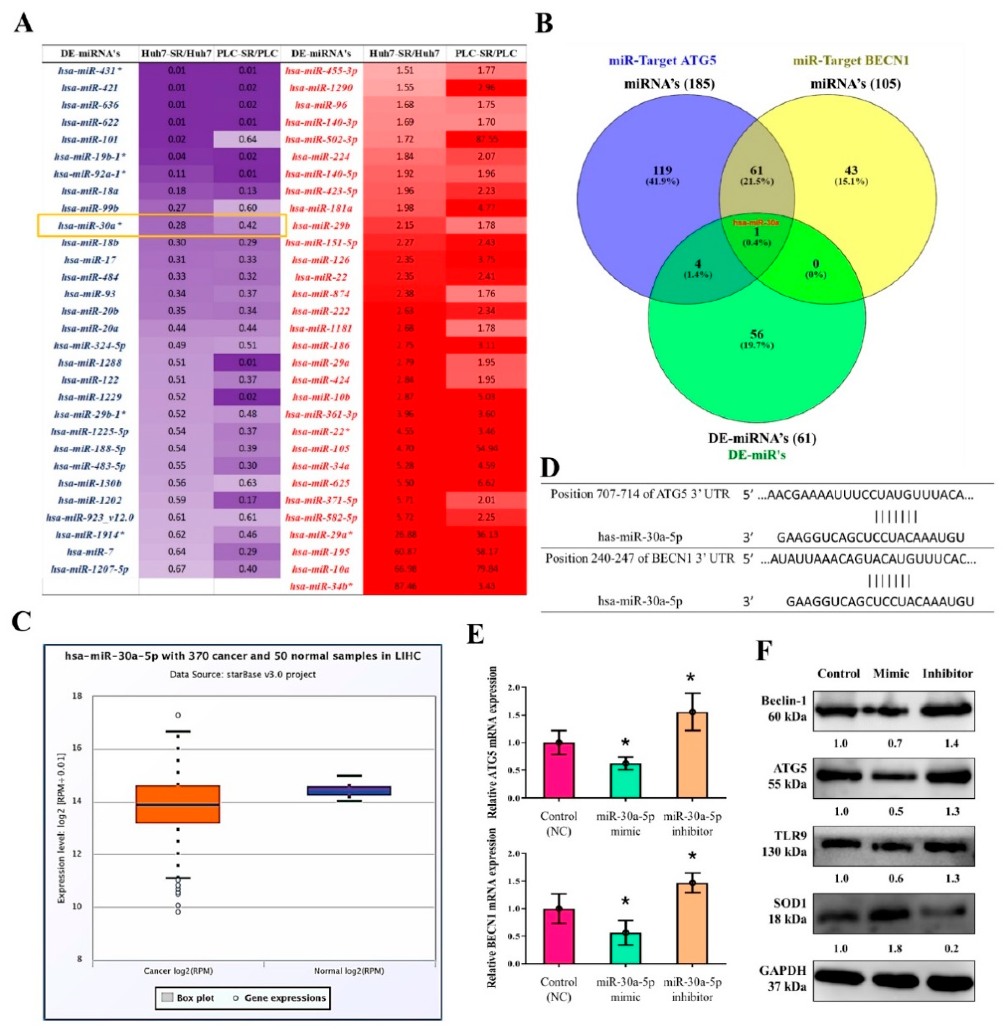Cancers 13 03227 g008