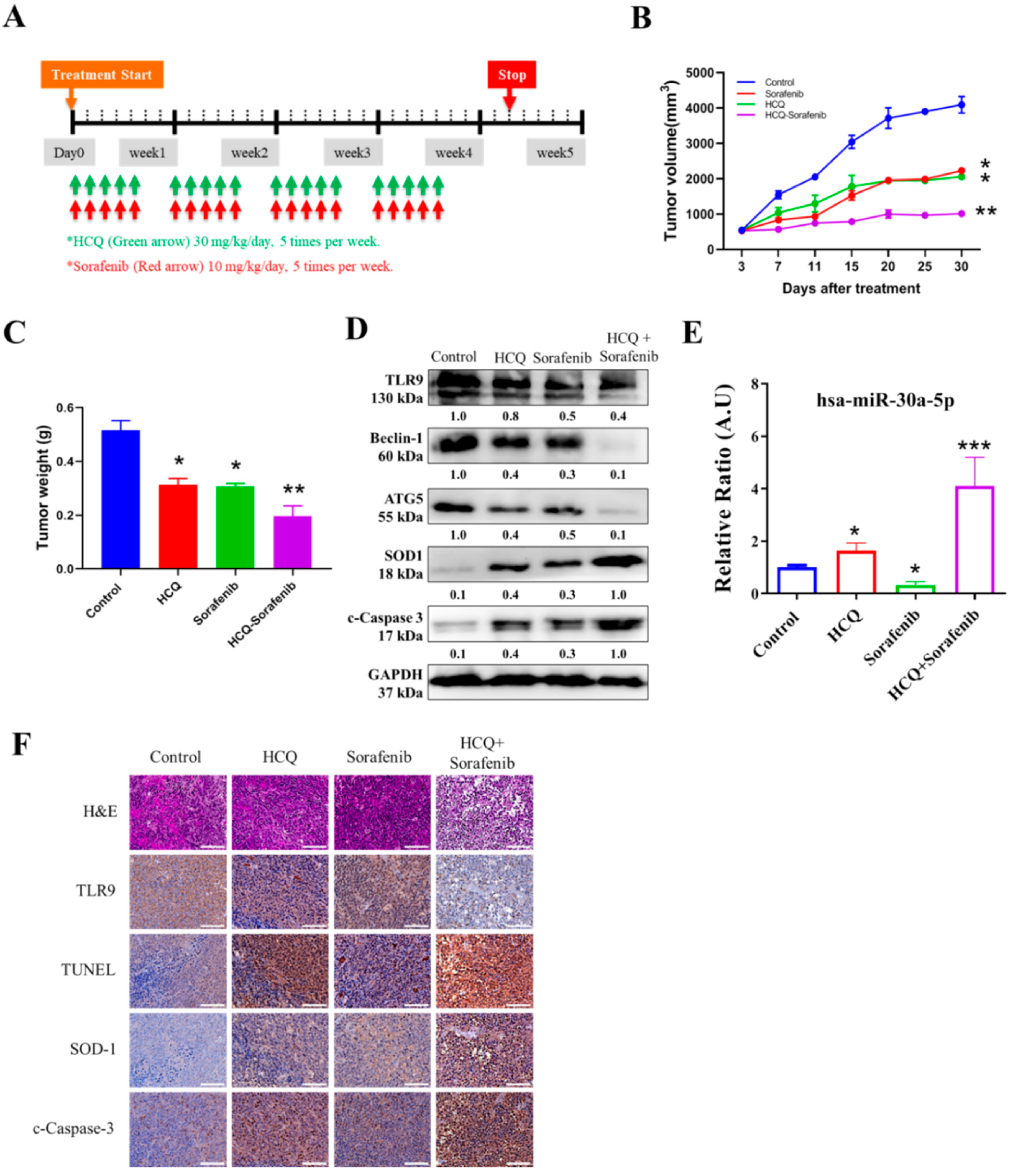 Cancers 13 03227 g009