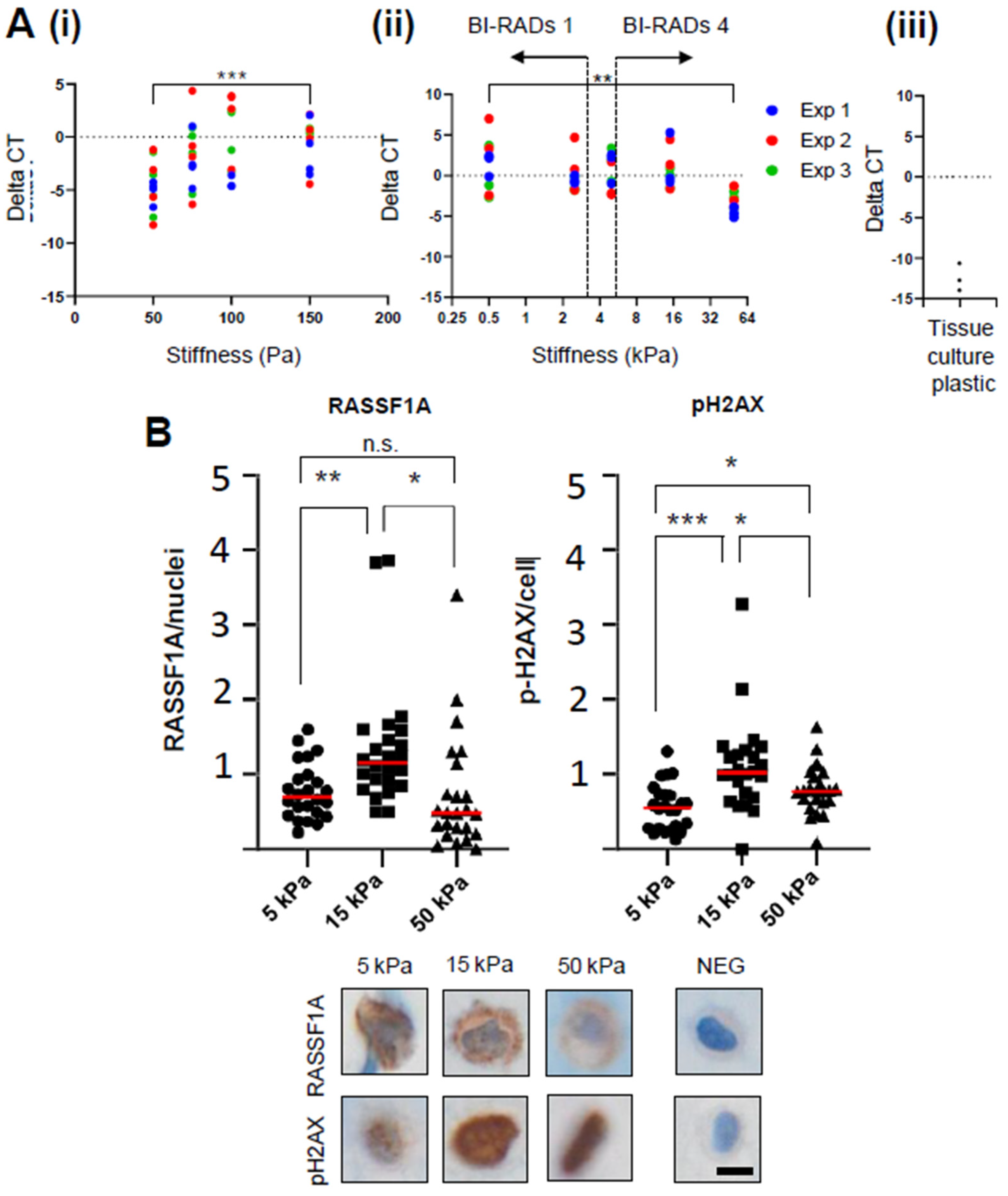 Cancers 13 03251 g002