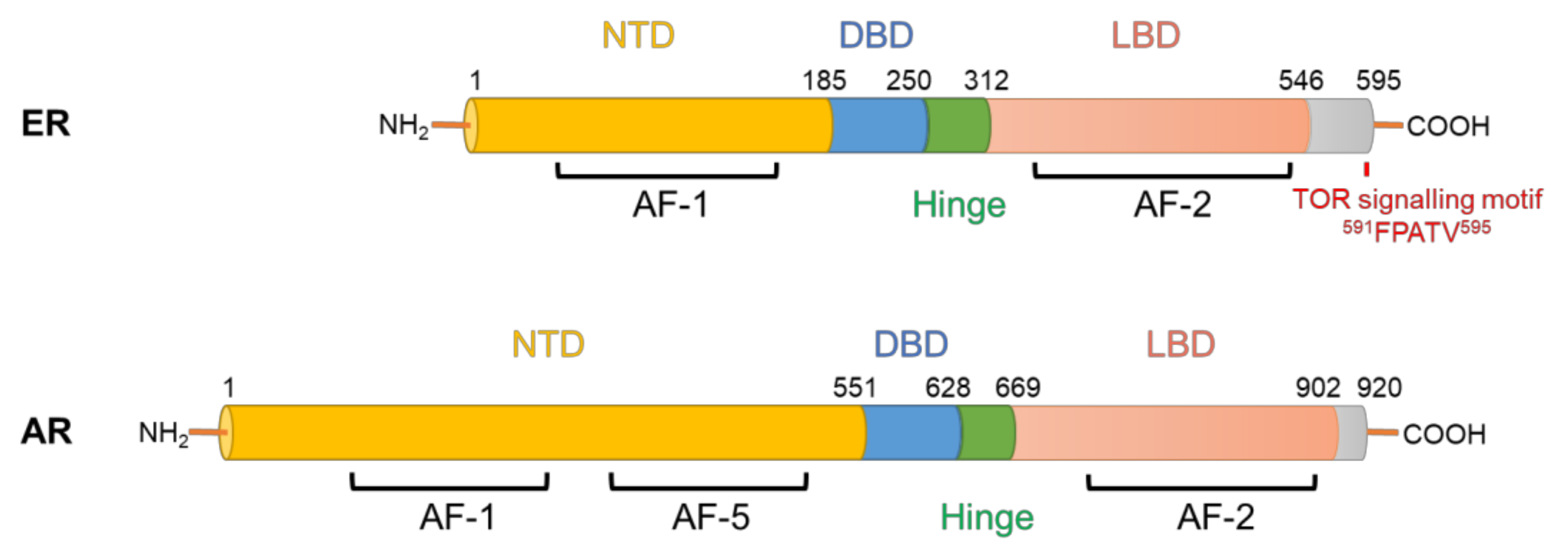 Cancers 13 03254 g001 Cancers 13 03254 g001