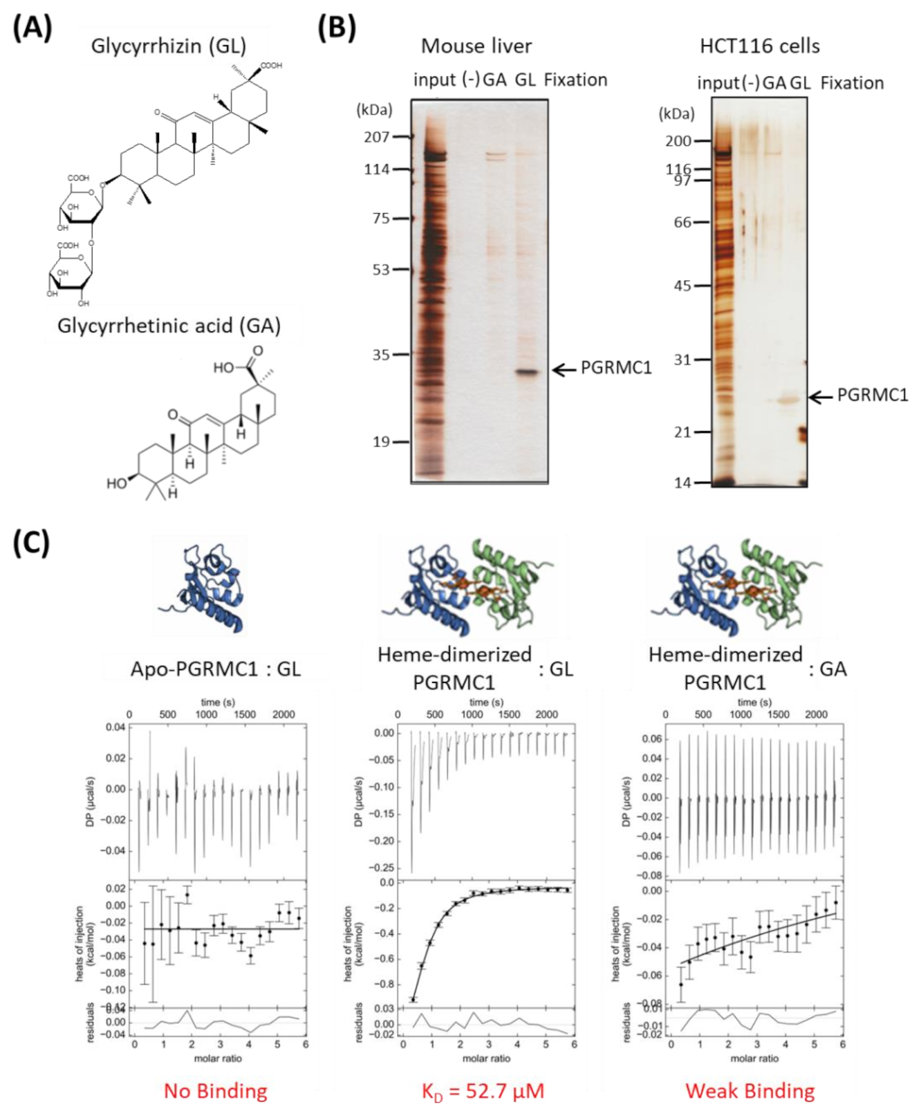 Cancers 13 03265 g001 Cancers 13 03265 g001