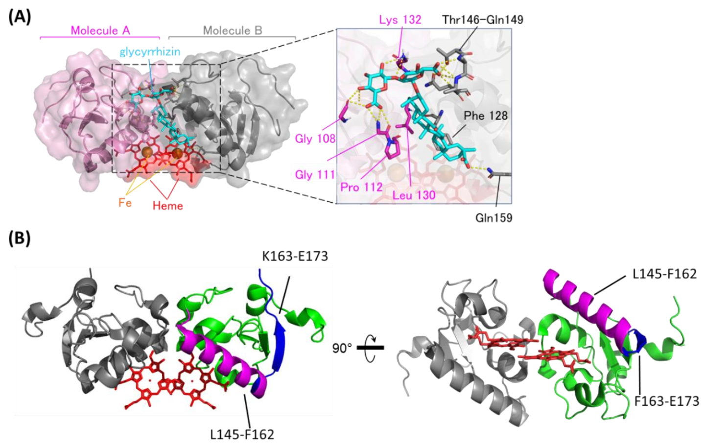 Cancers 13 03265 g002 Cancers 13 03265 g002