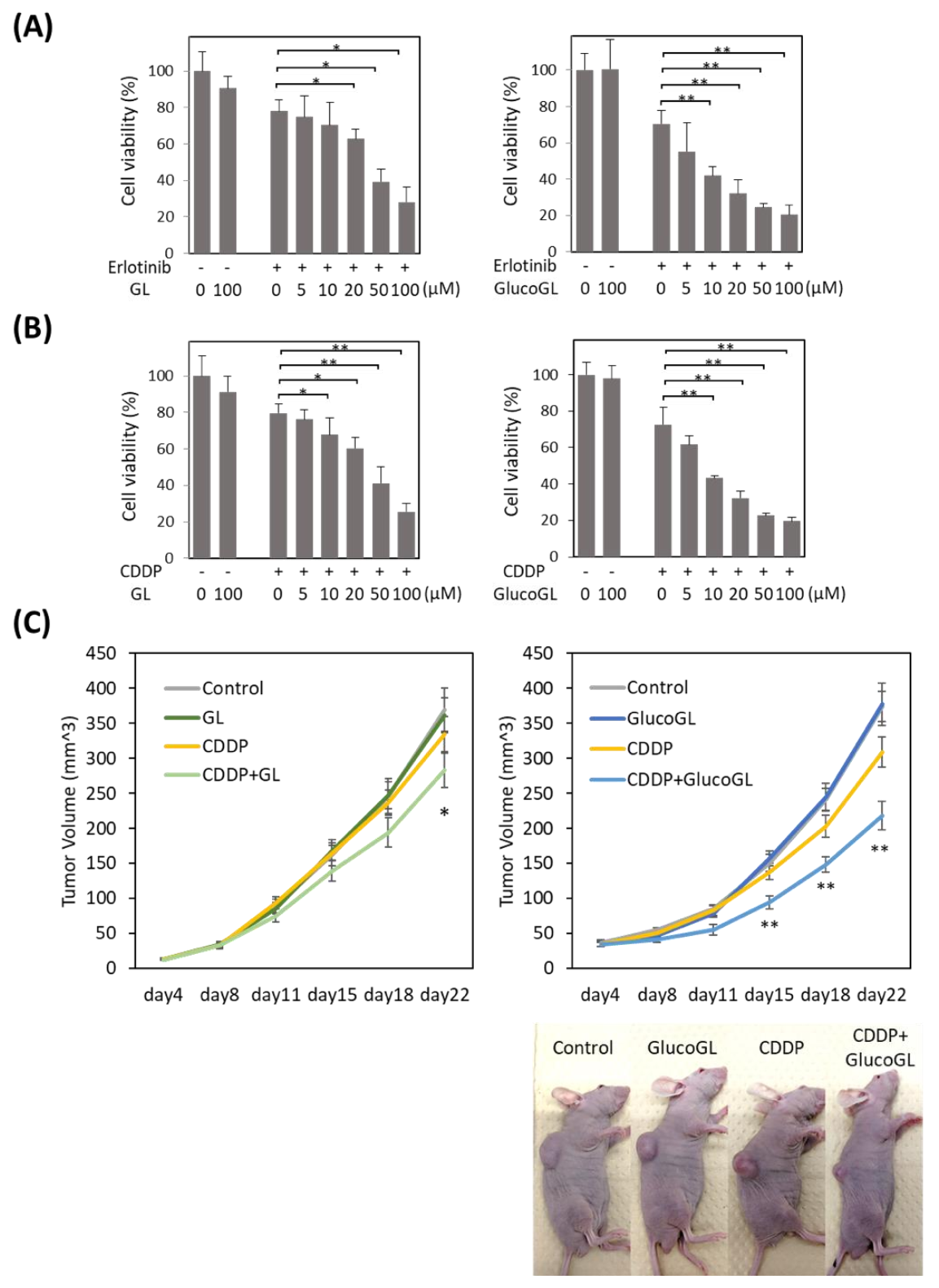 Cancers 13 03265 g006 Cancers 13 03265 g006