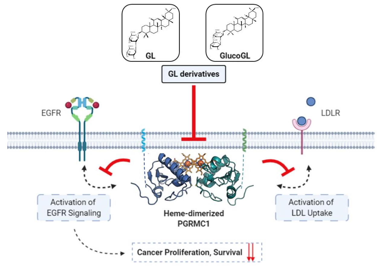 Cancers 13 03265 g007 Cancers 13 03265 g007