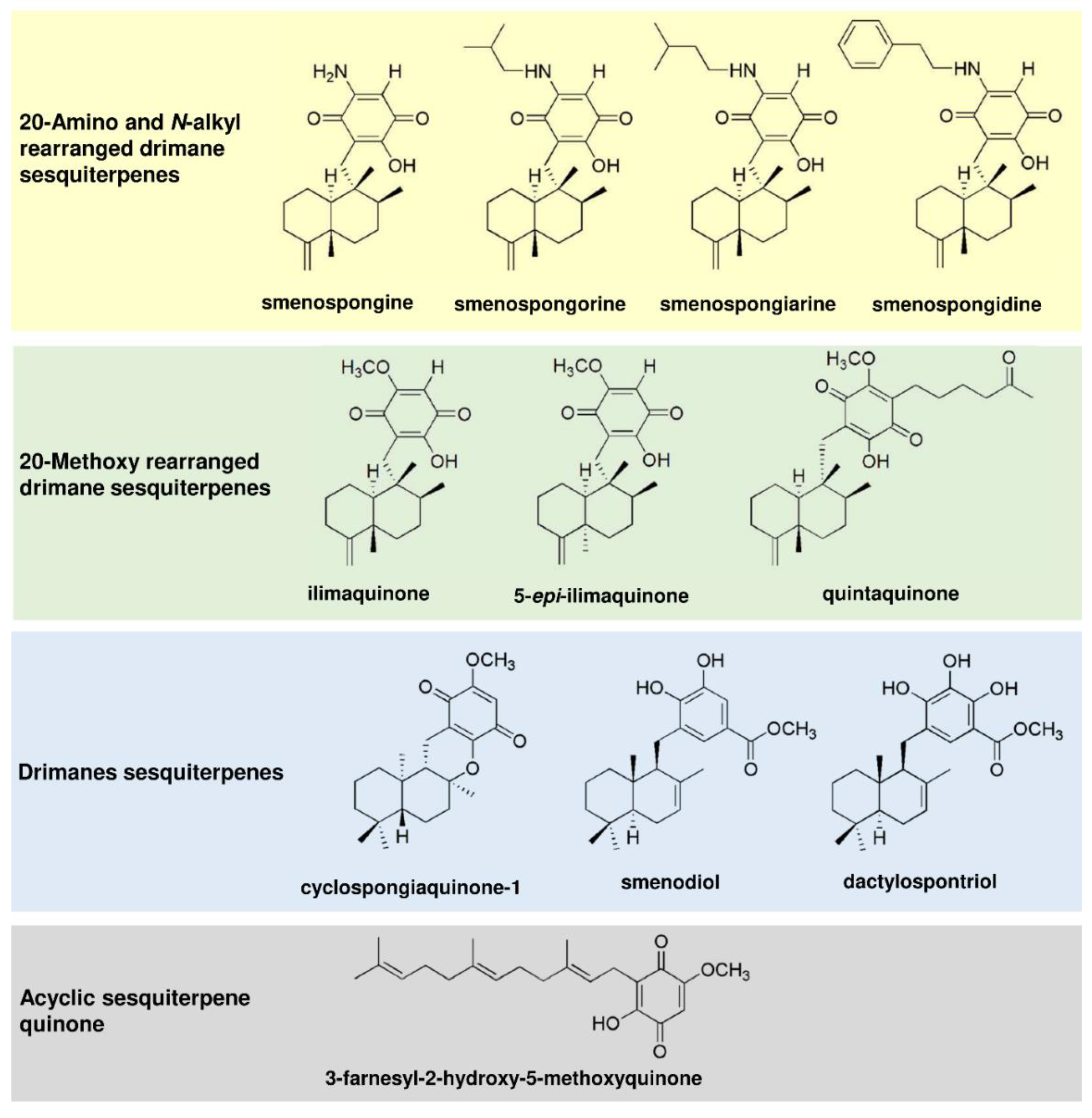 Cancers 13 03282 g001