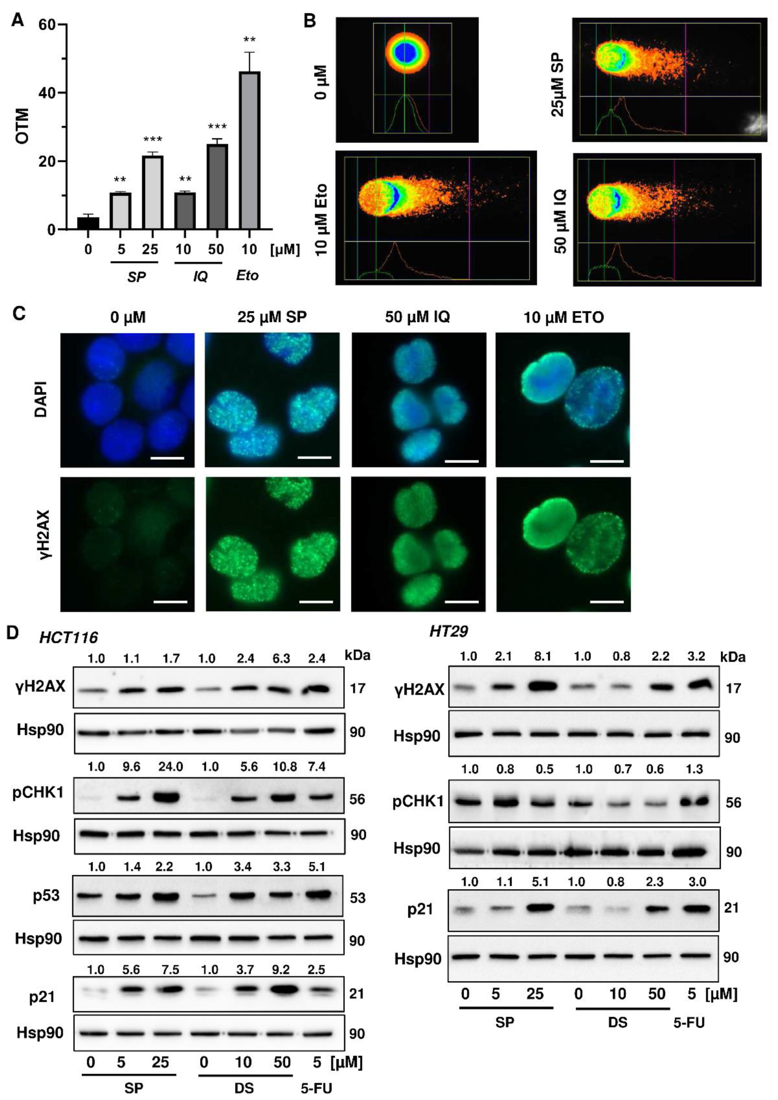 Cancers 13 03282 g003