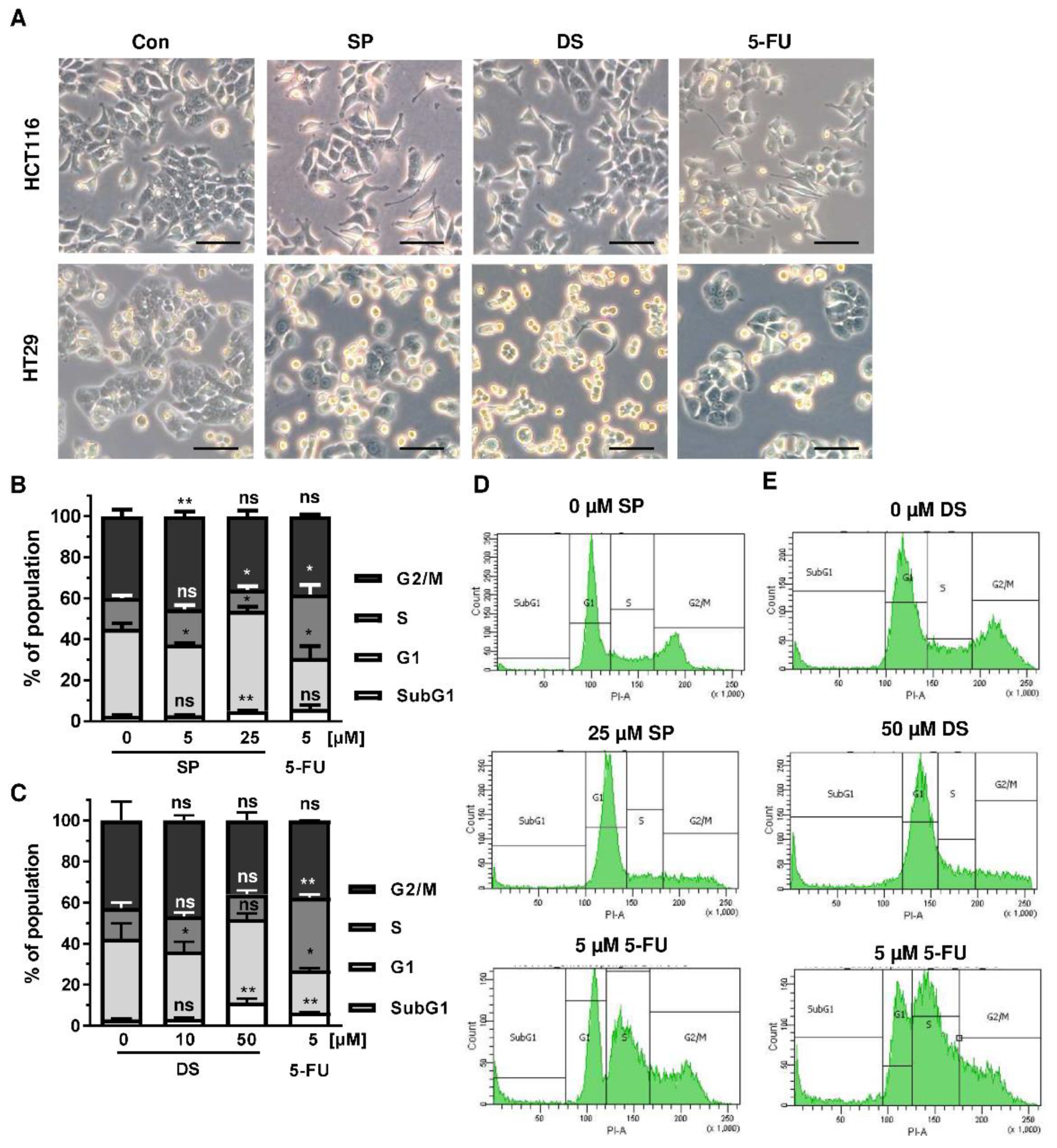 Cancers 13 03282 g004