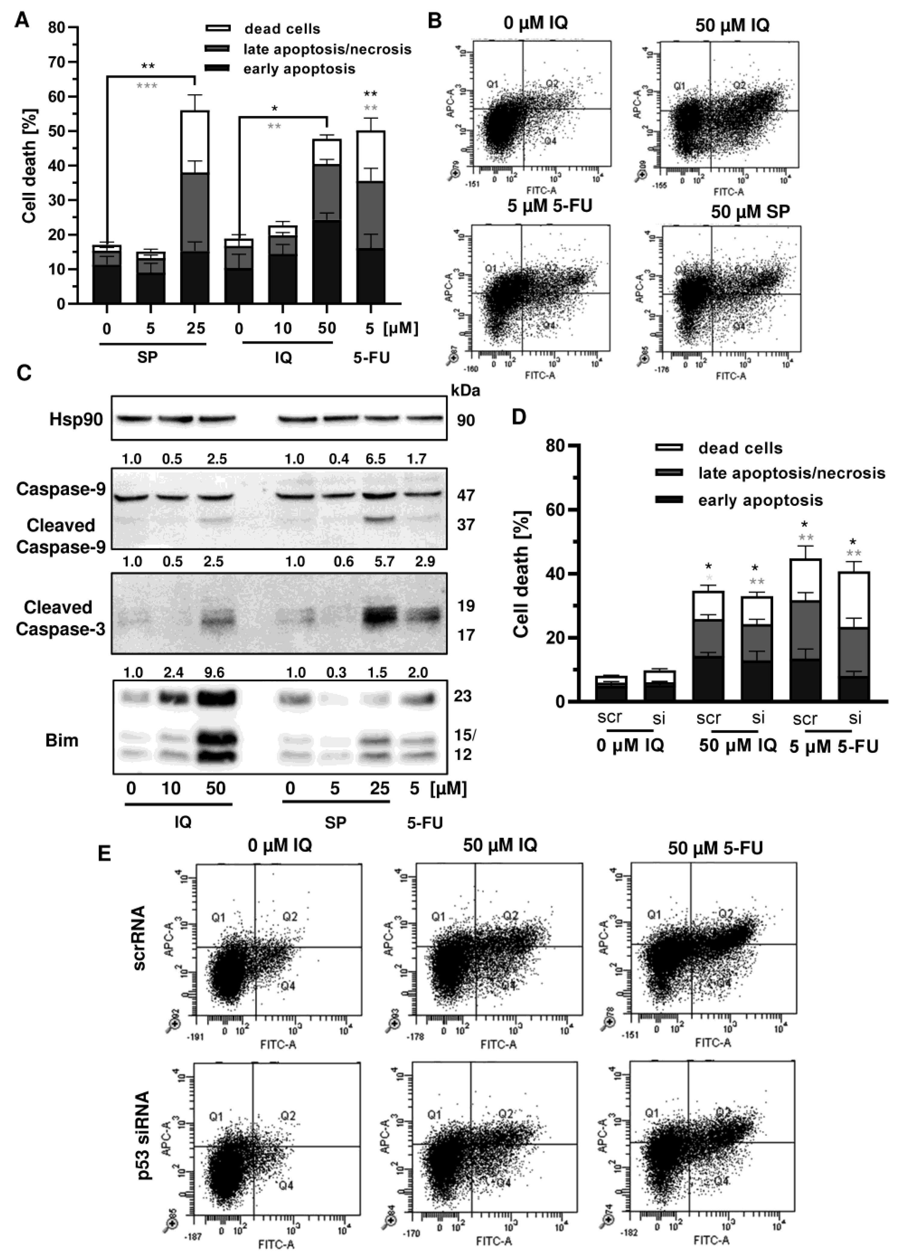 Cancers 13 03282 g007