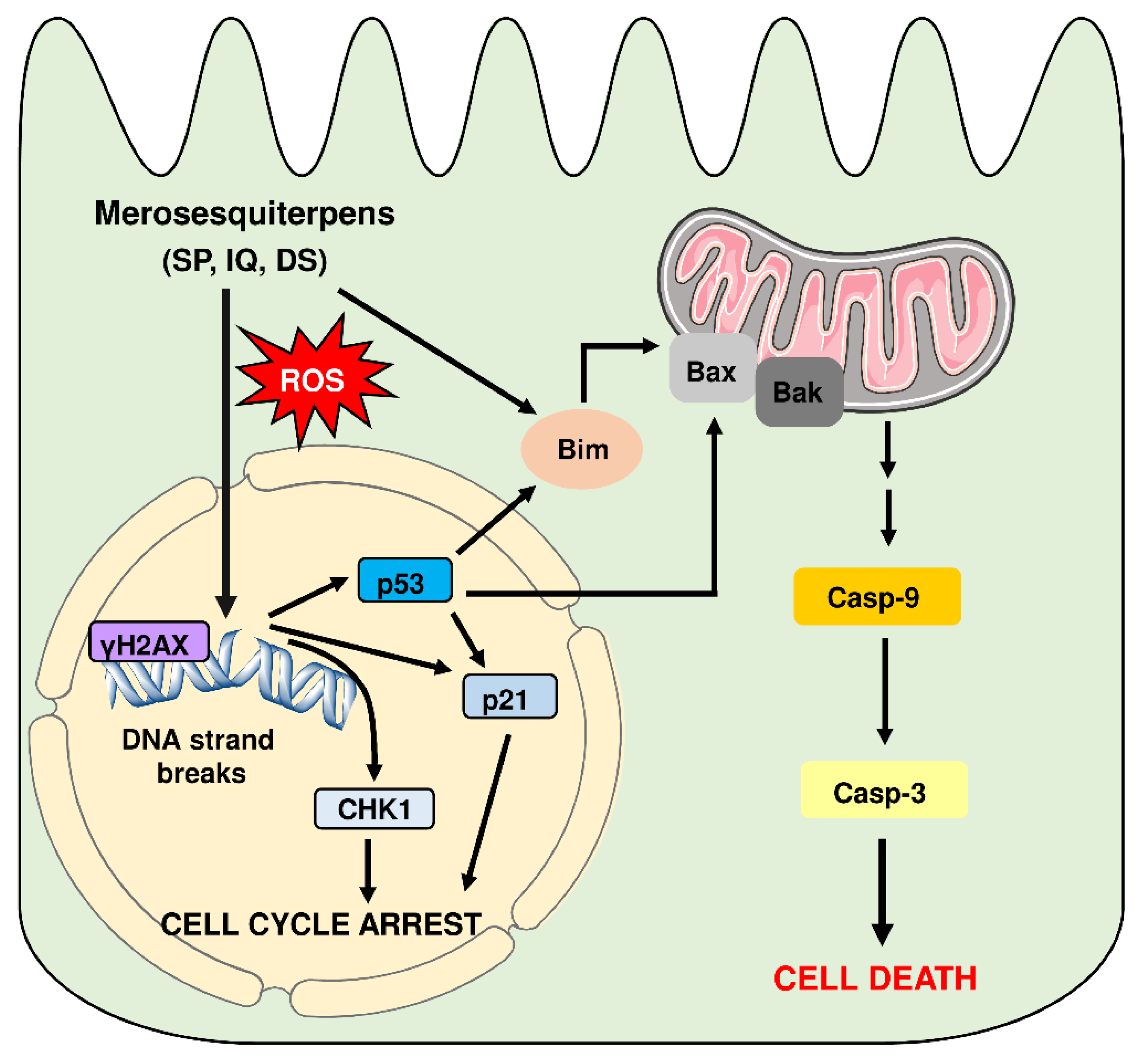 Cancers 13 03282 g009