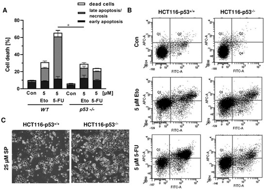 Cancers 13 03282 g0a4 550