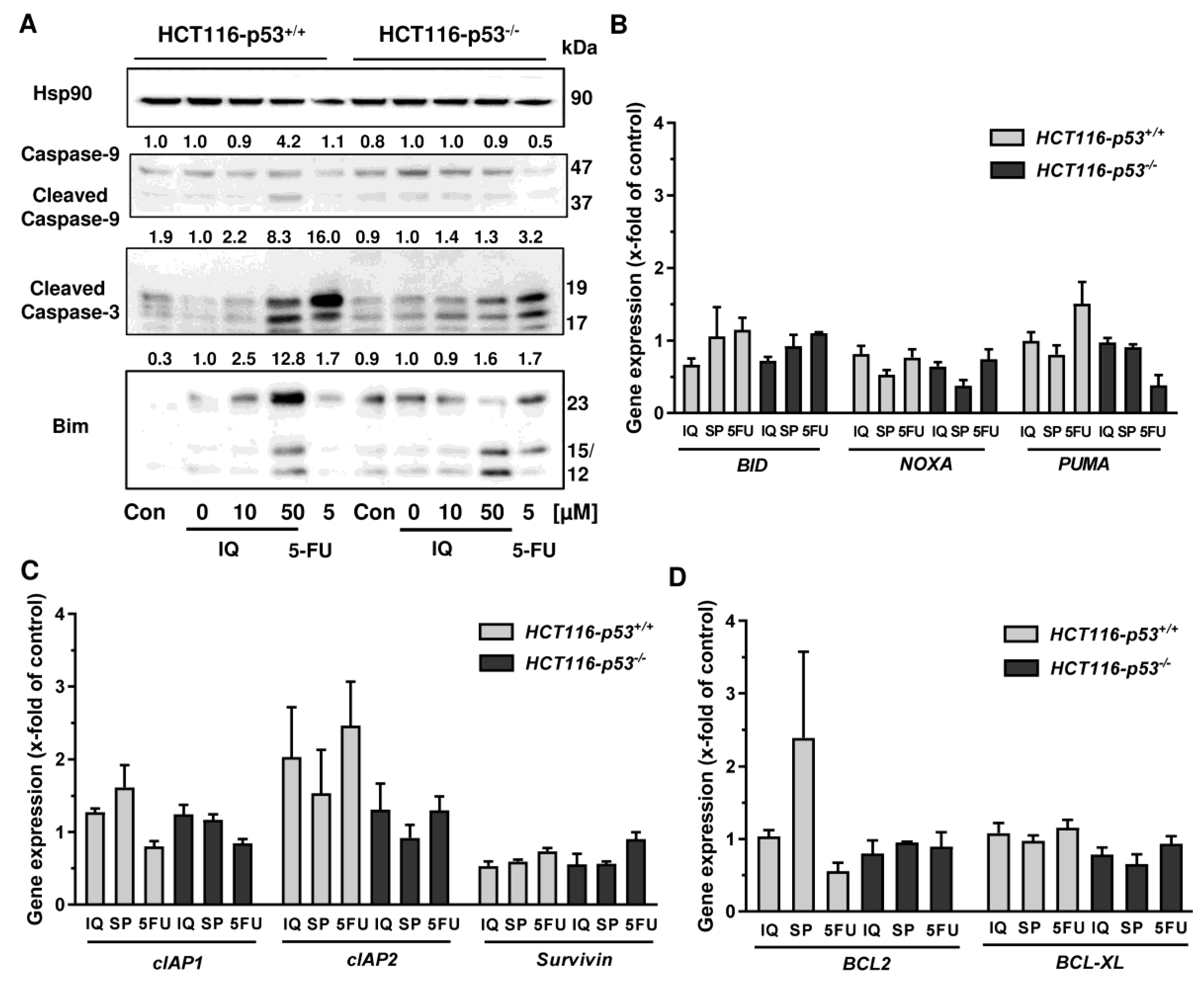 Cancers 13 03282 g0a5