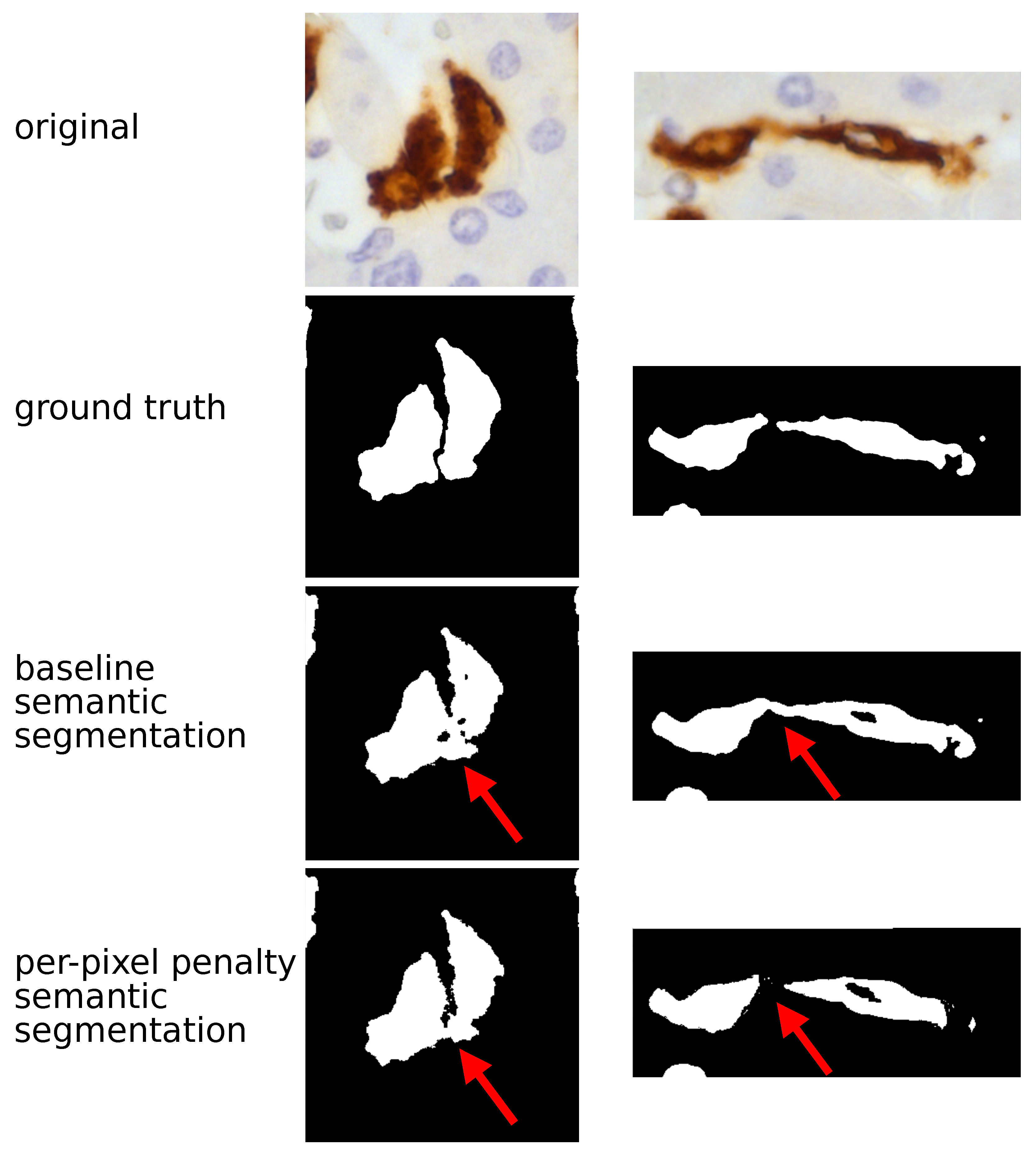 Cancers 13 03313 g001