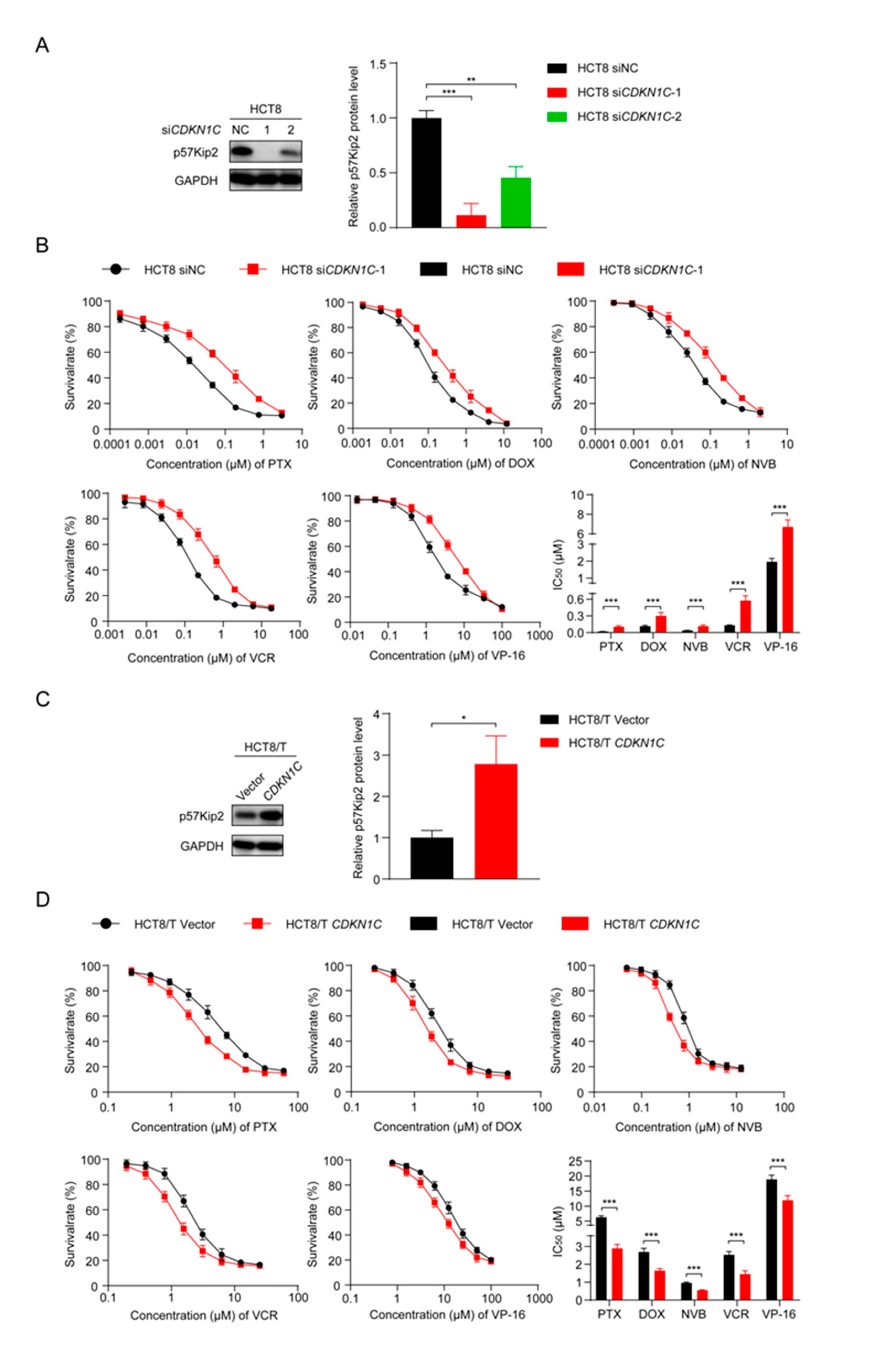 Cancers 13 03323 g004