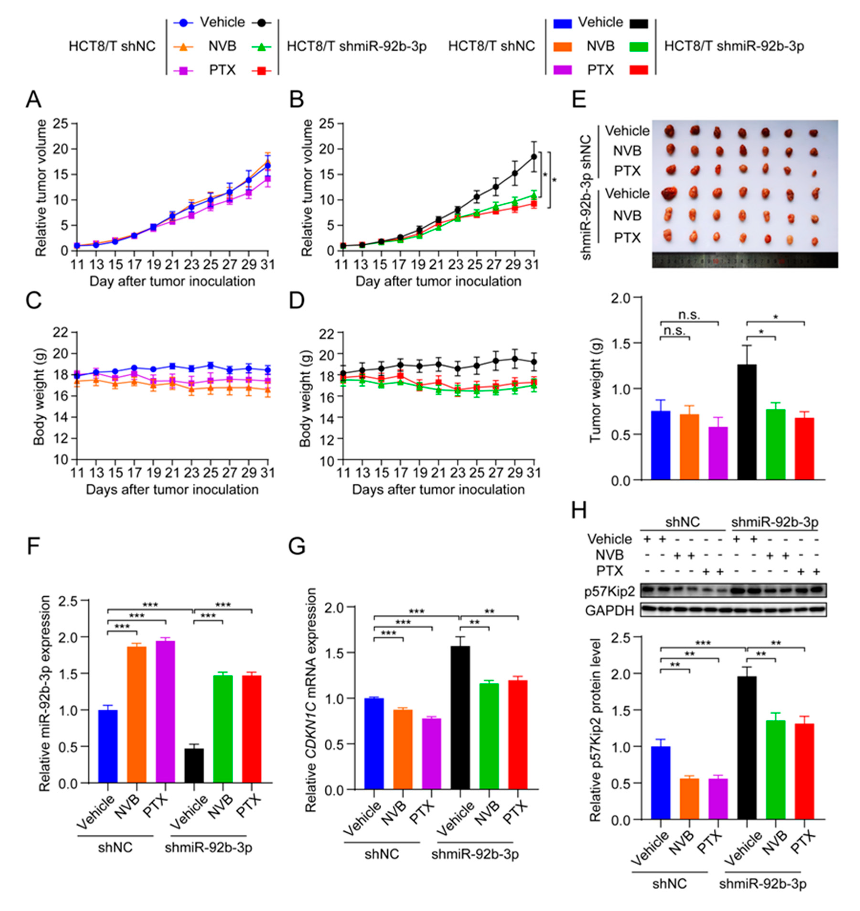 Cancers 13 03323 g007