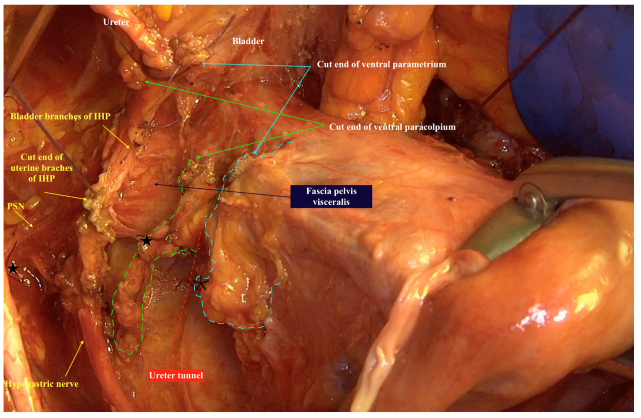 Cancers 13 03326 g002