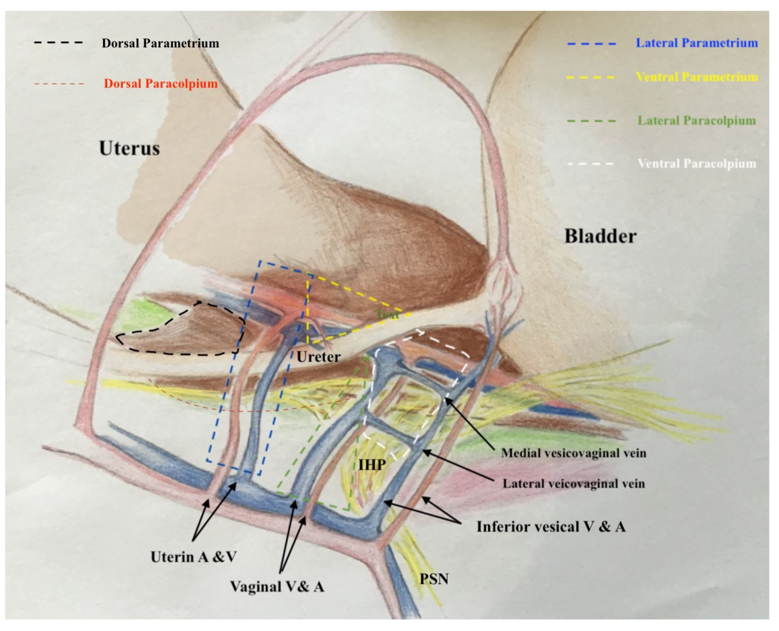 Cancers 13 03326 g005
