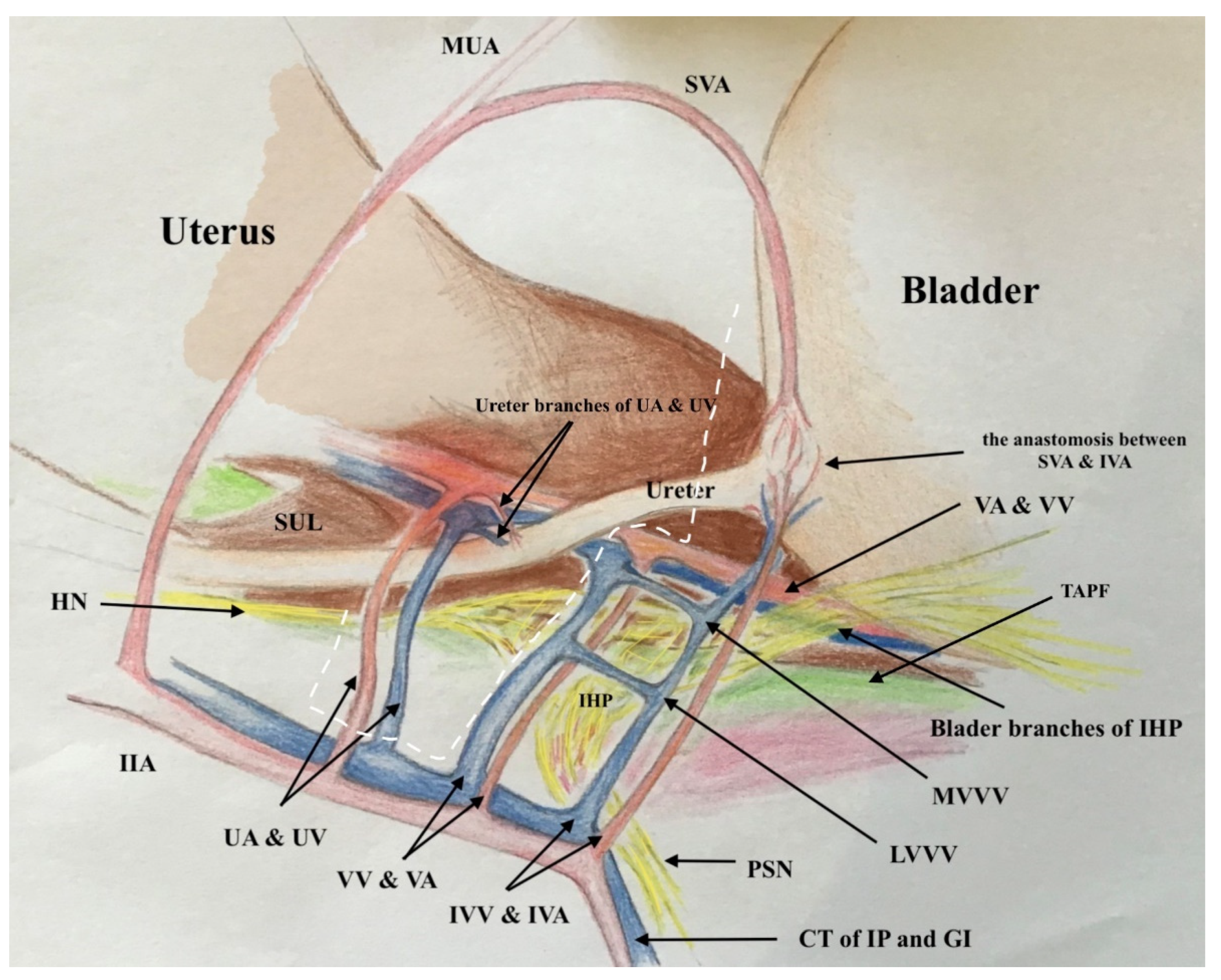 Cancers 13 03326 g008
