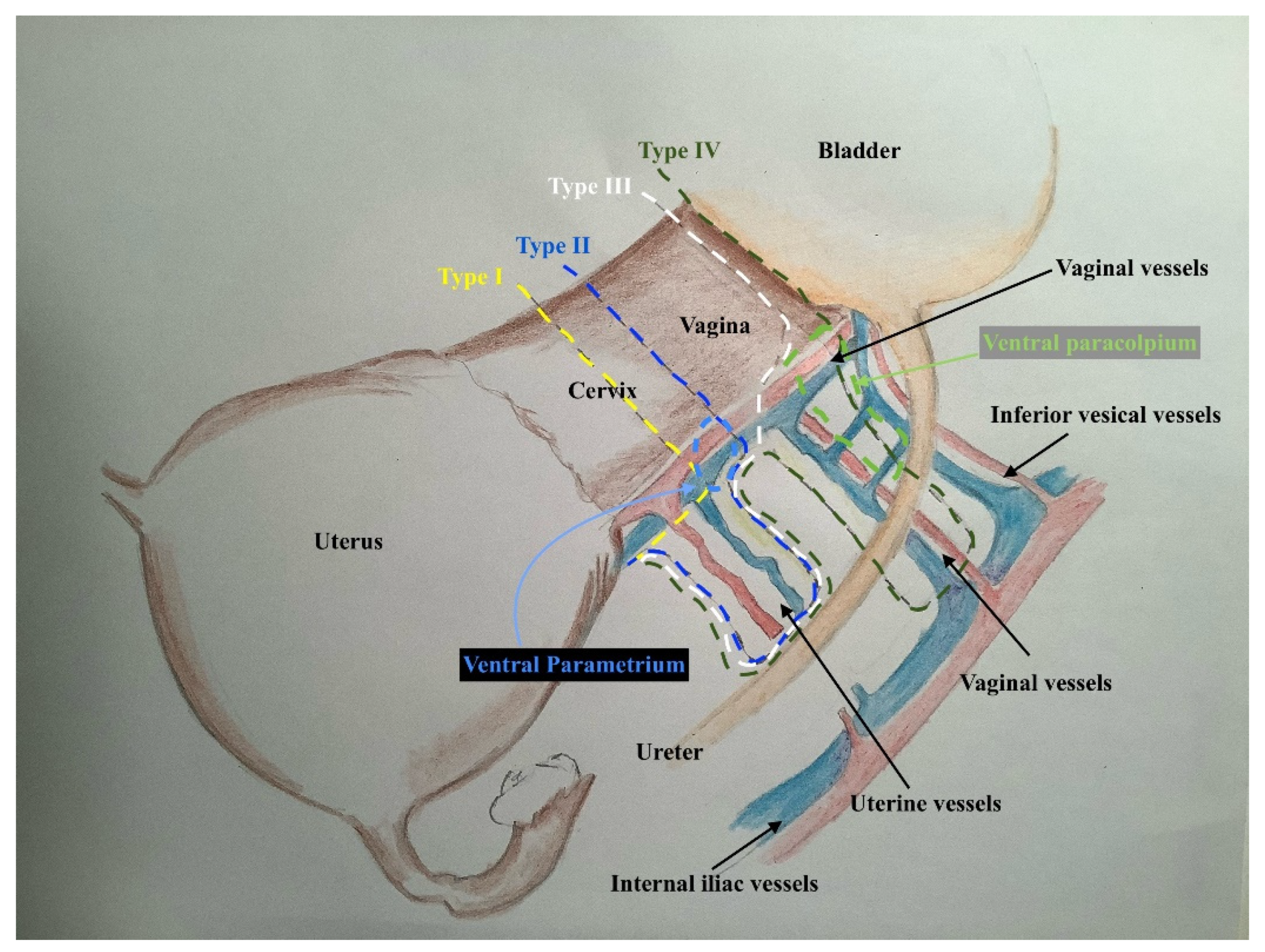 Cancers 13 03326 g010