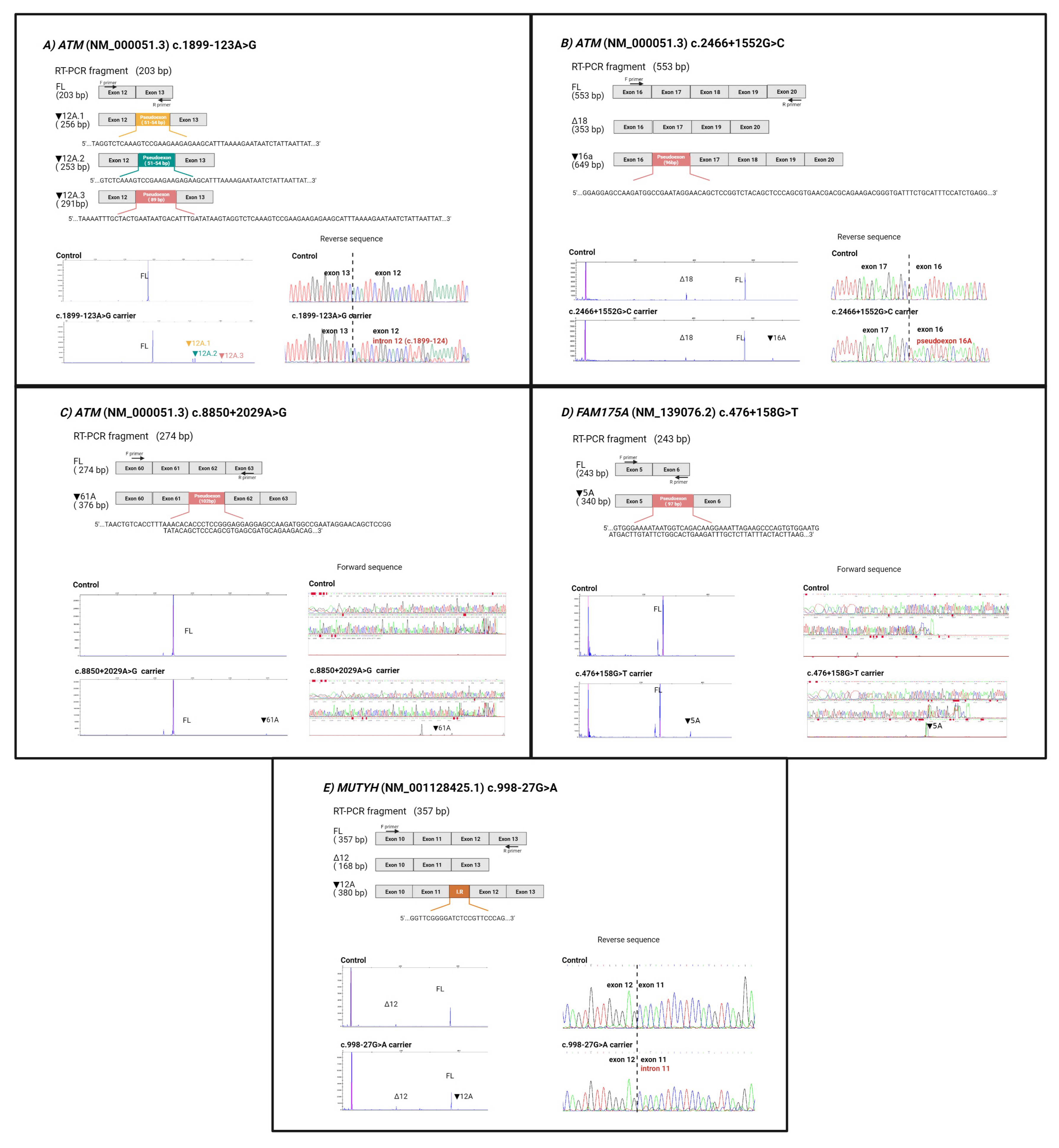 Cancers 13 03341 g004