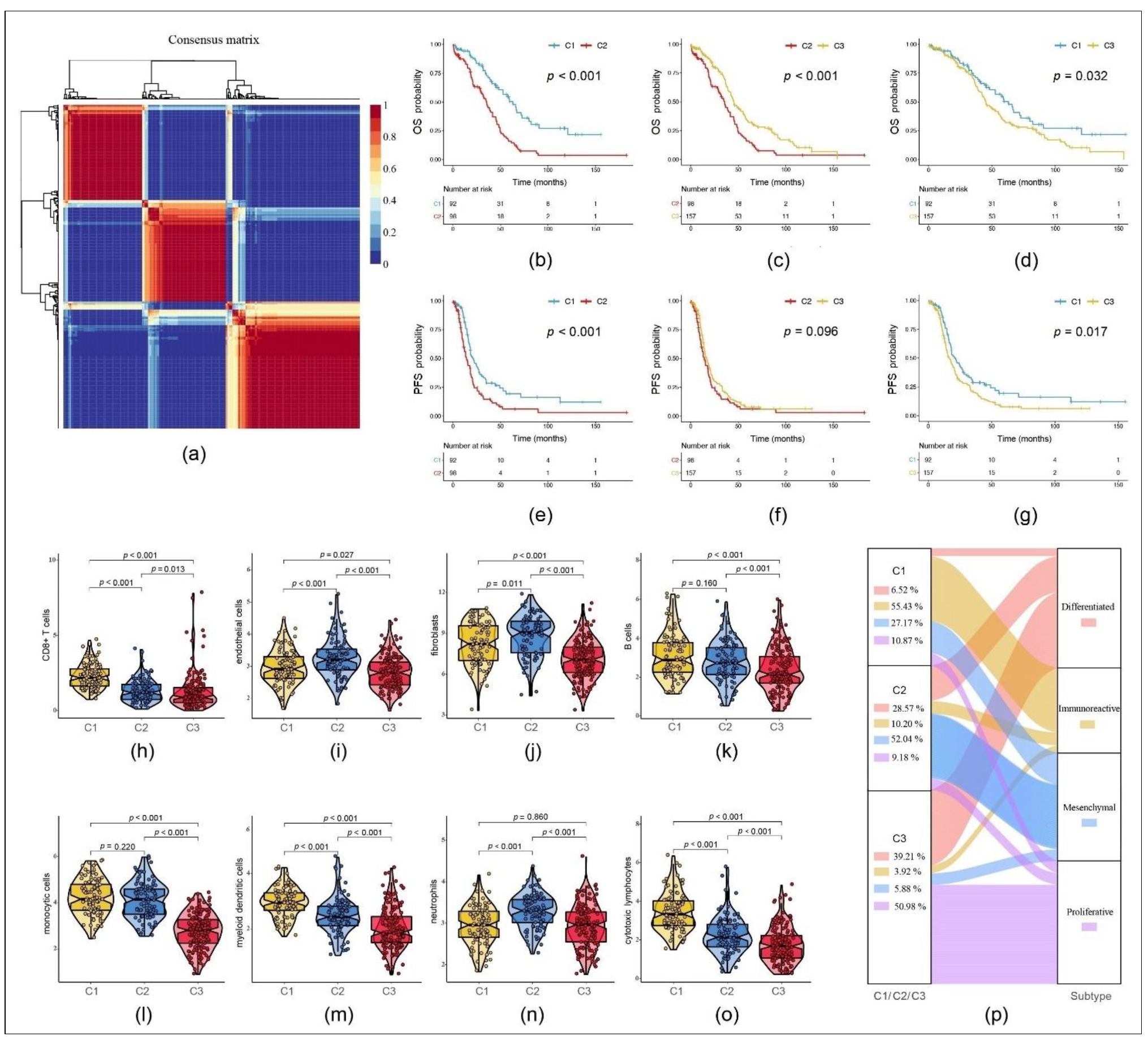 Cancers 13 03343 g001