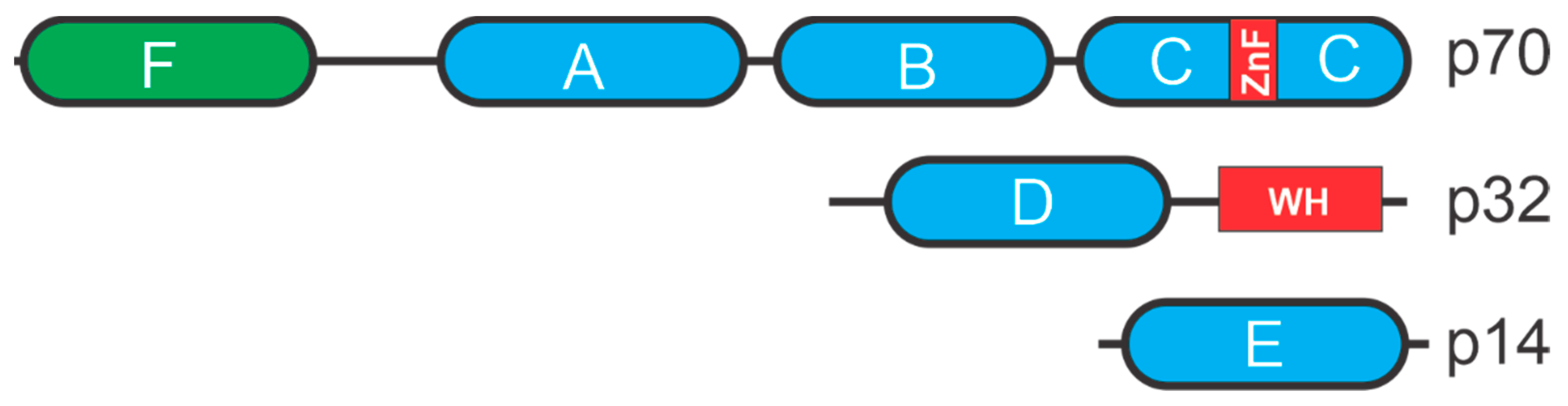 Cancers 13 03346 g002