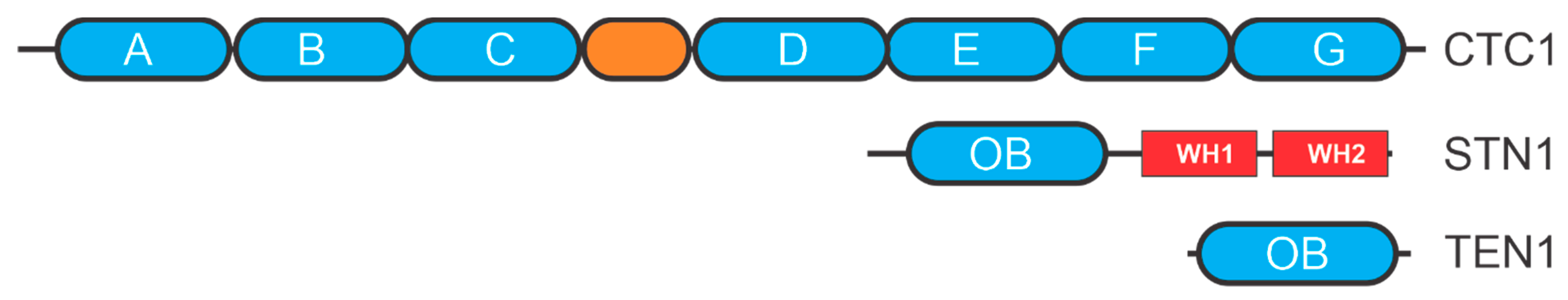 Cancers 13 03346 g003