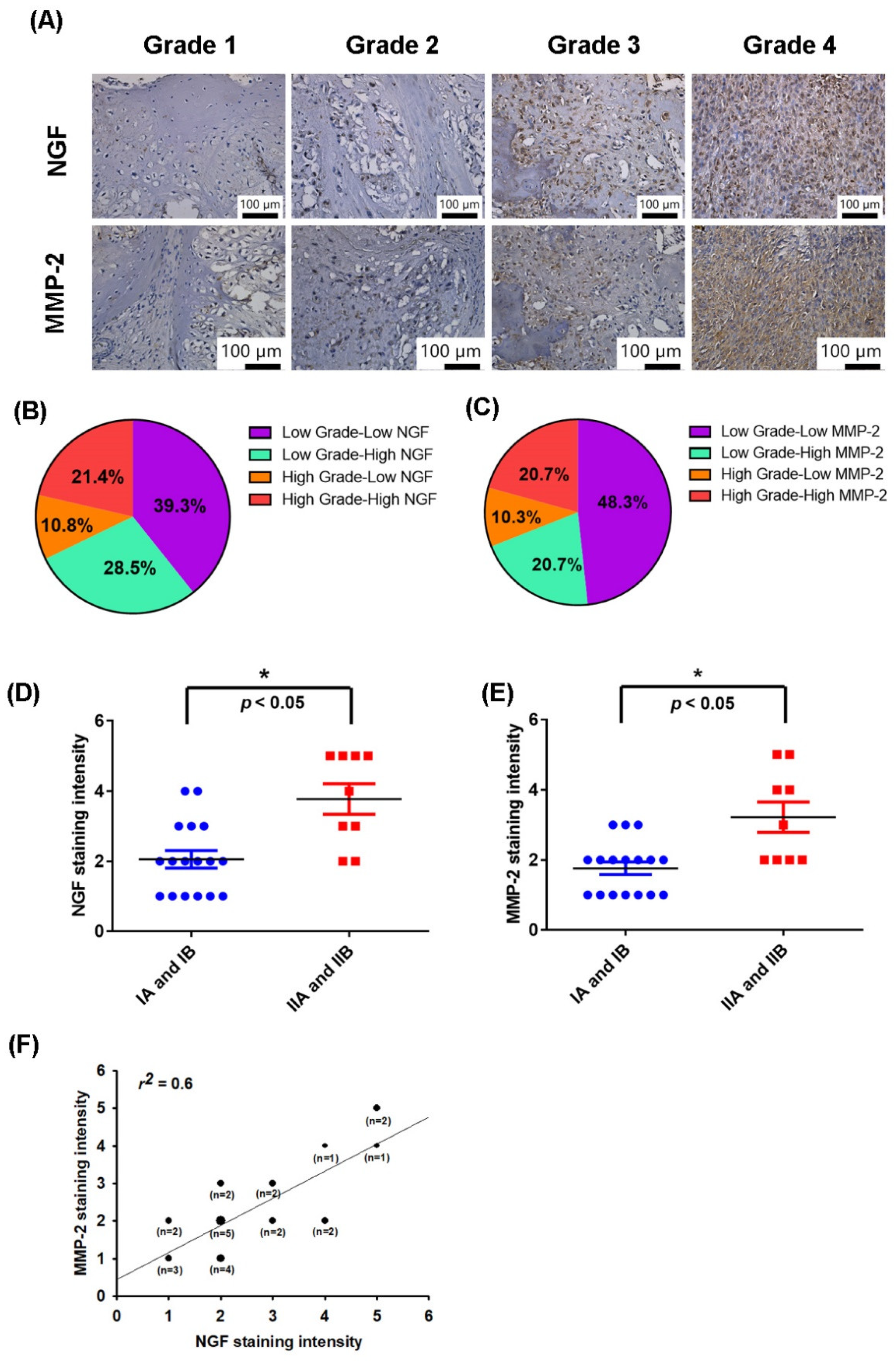 Cancers 13 03347 g001