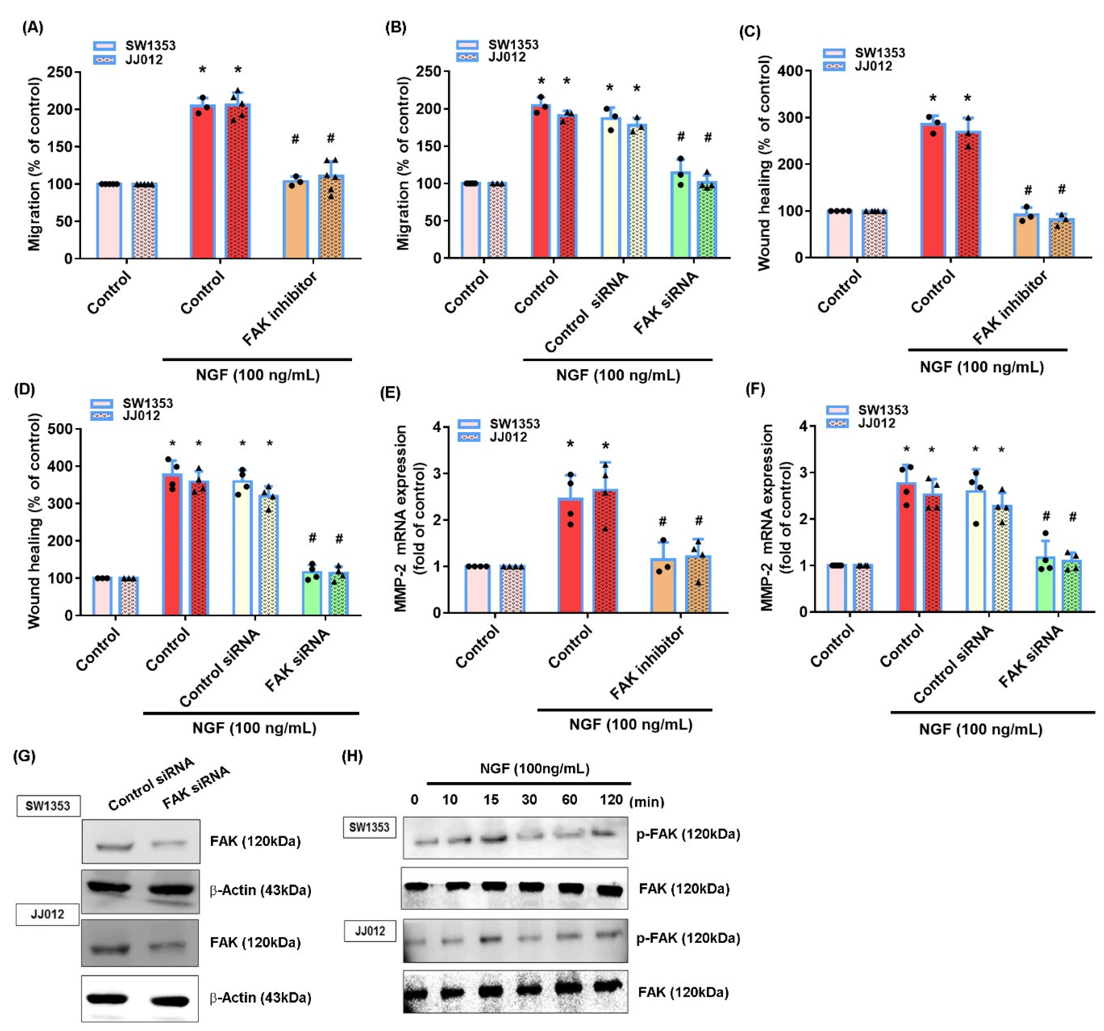 Cancers 13 03347 g003