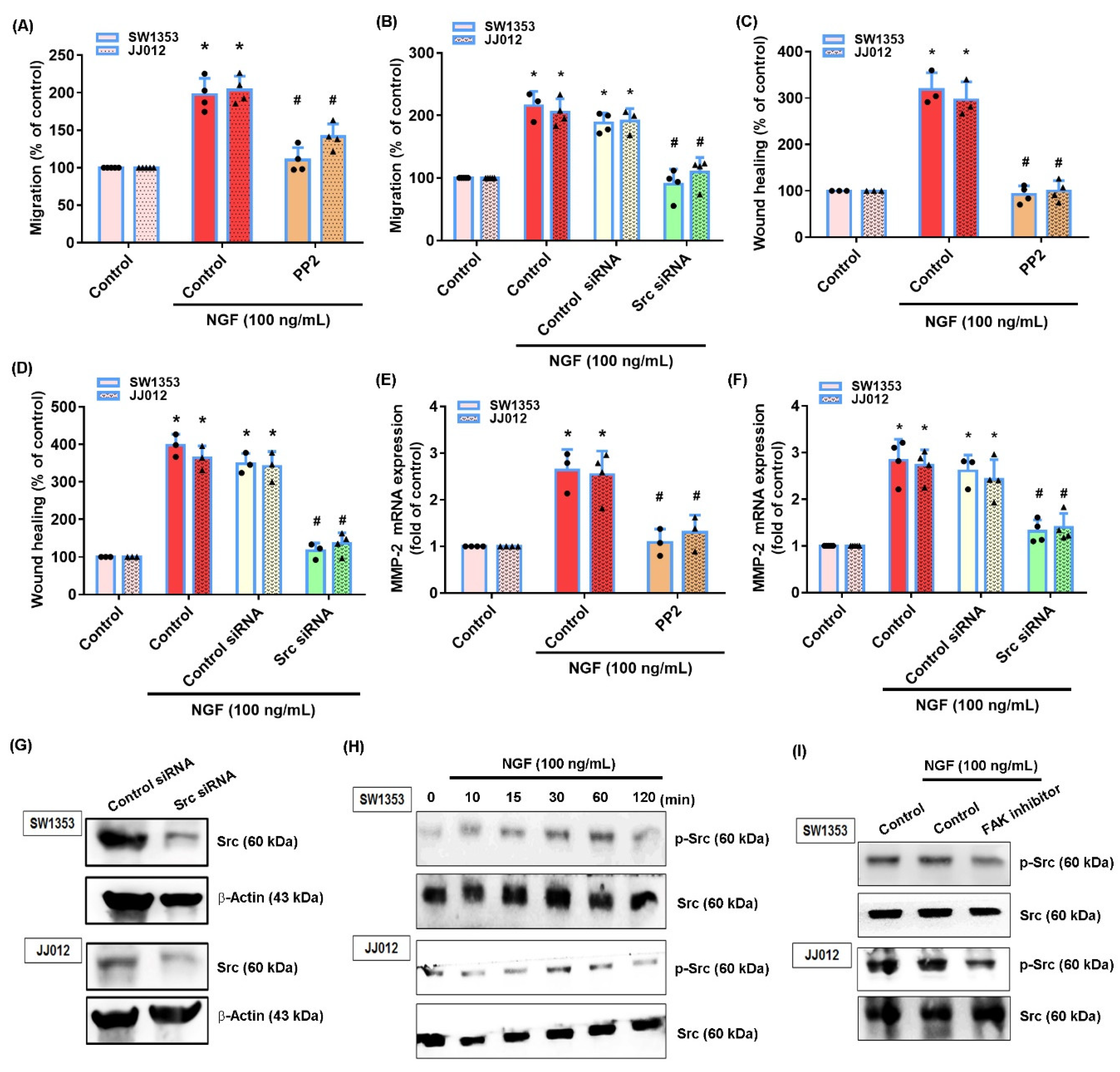 Cancers 13 03347 g004