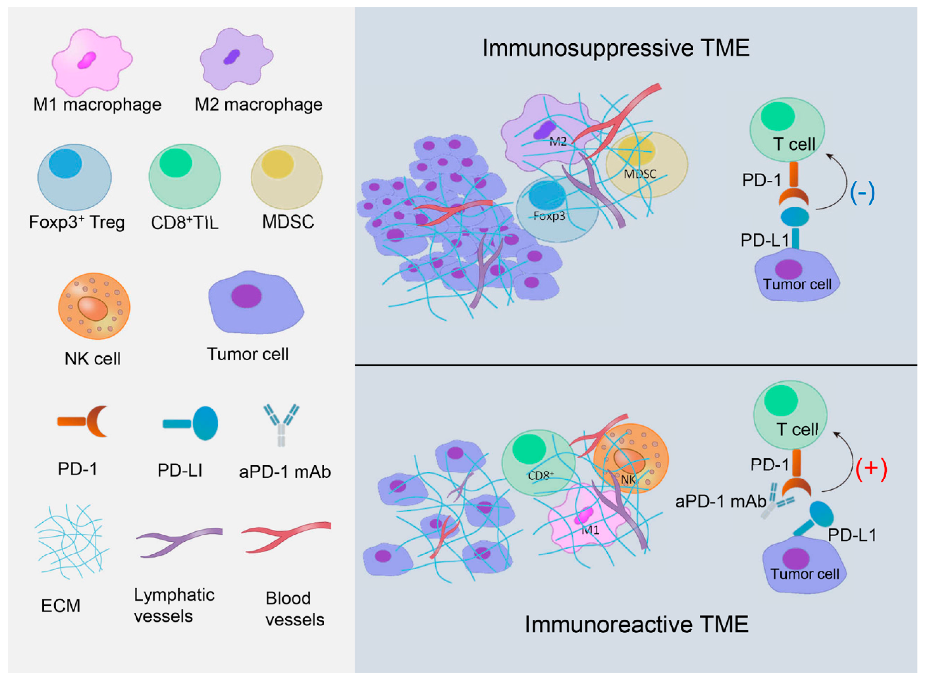 Cancers 13 03357 g001